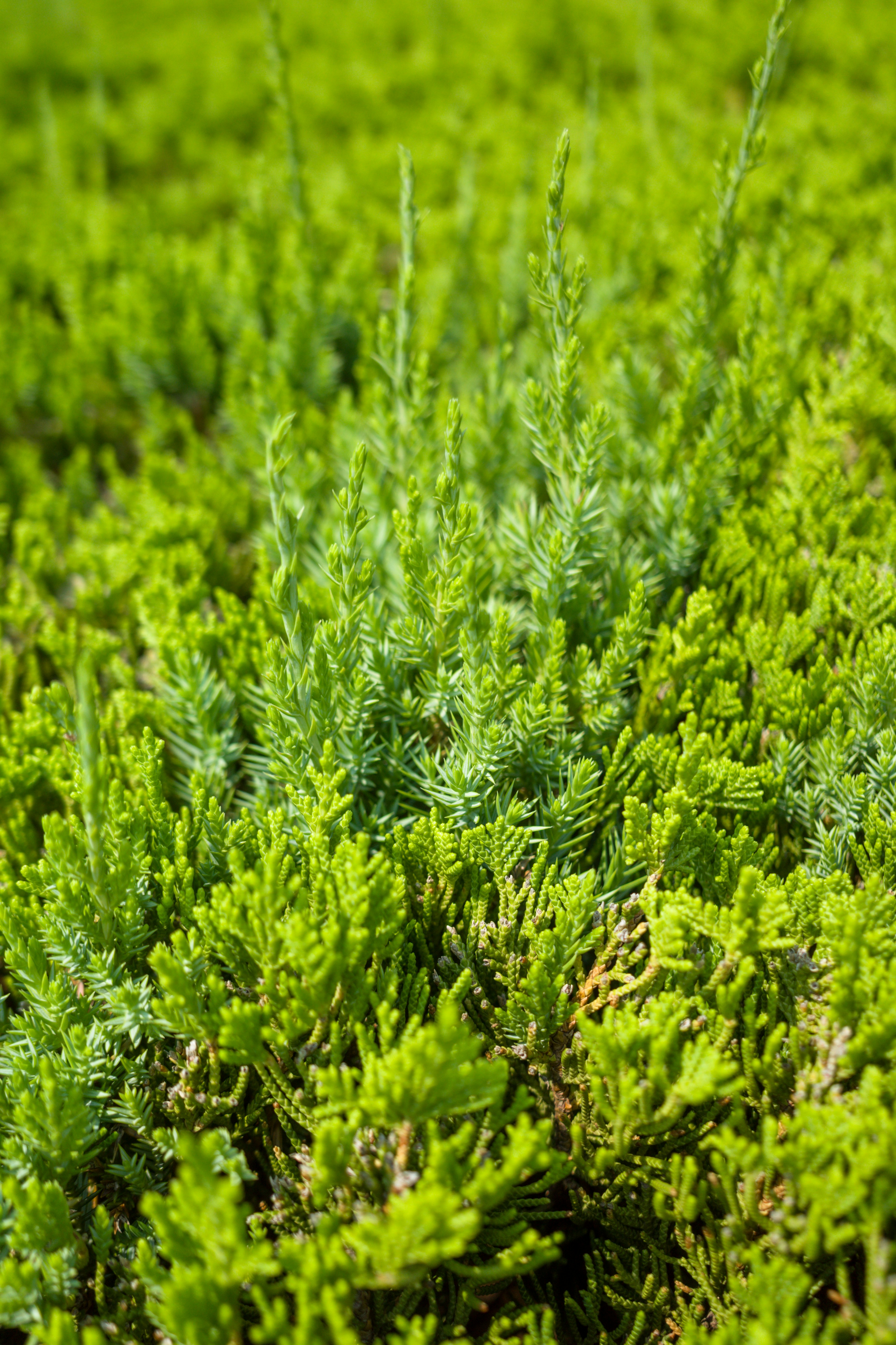 Photo by xiazheng1995