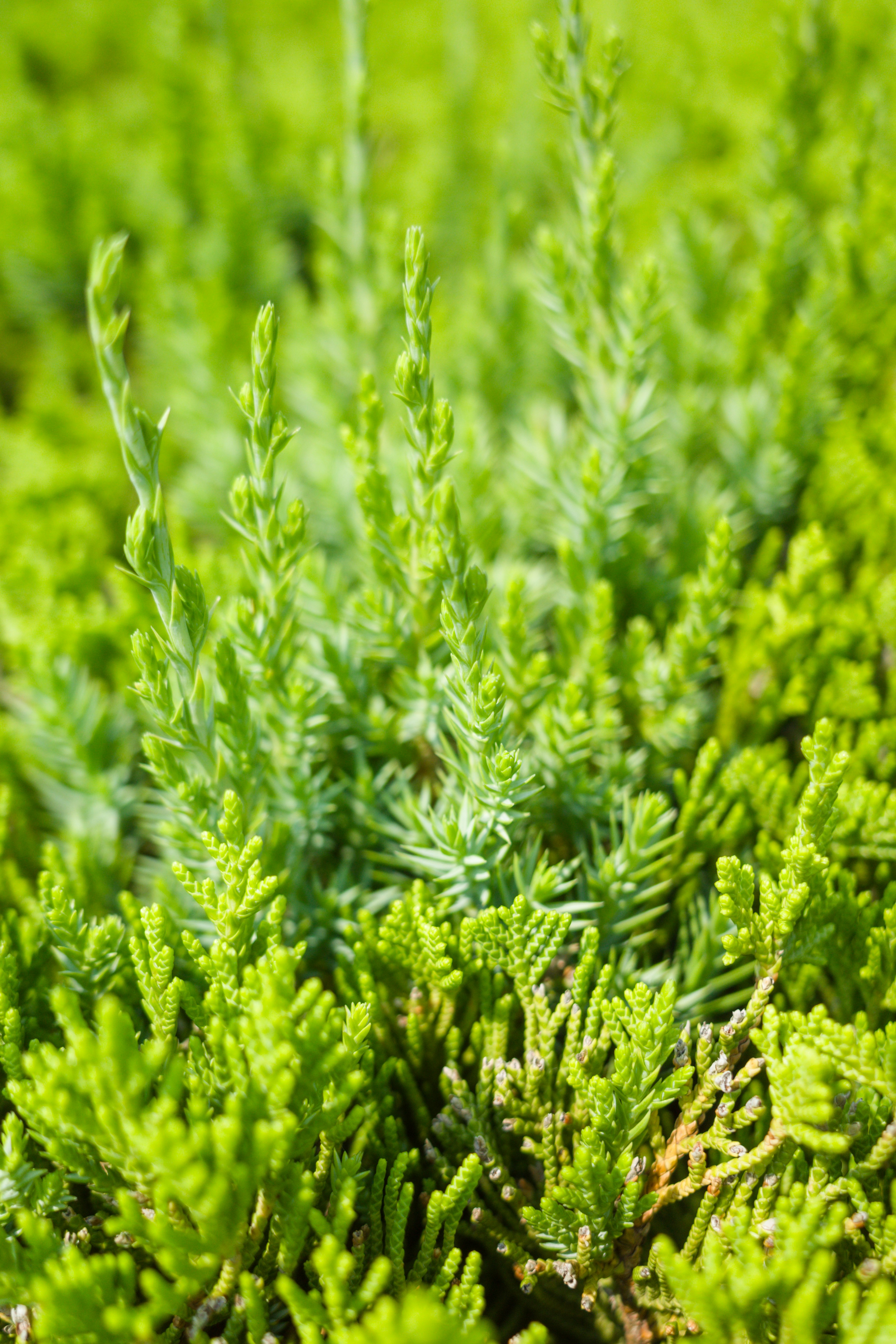 Photo by xiazheng1995