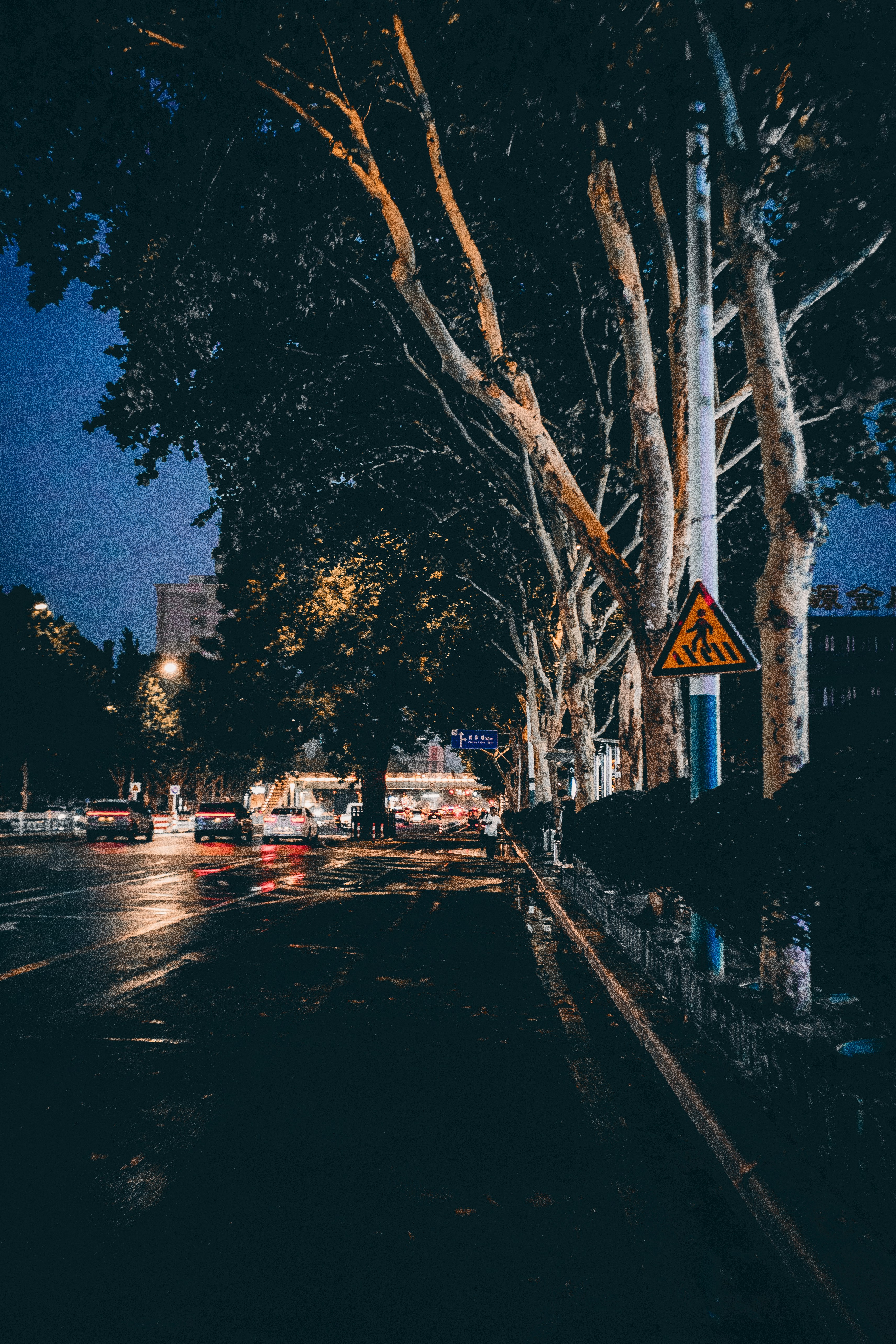 Photo by xiazheng1995