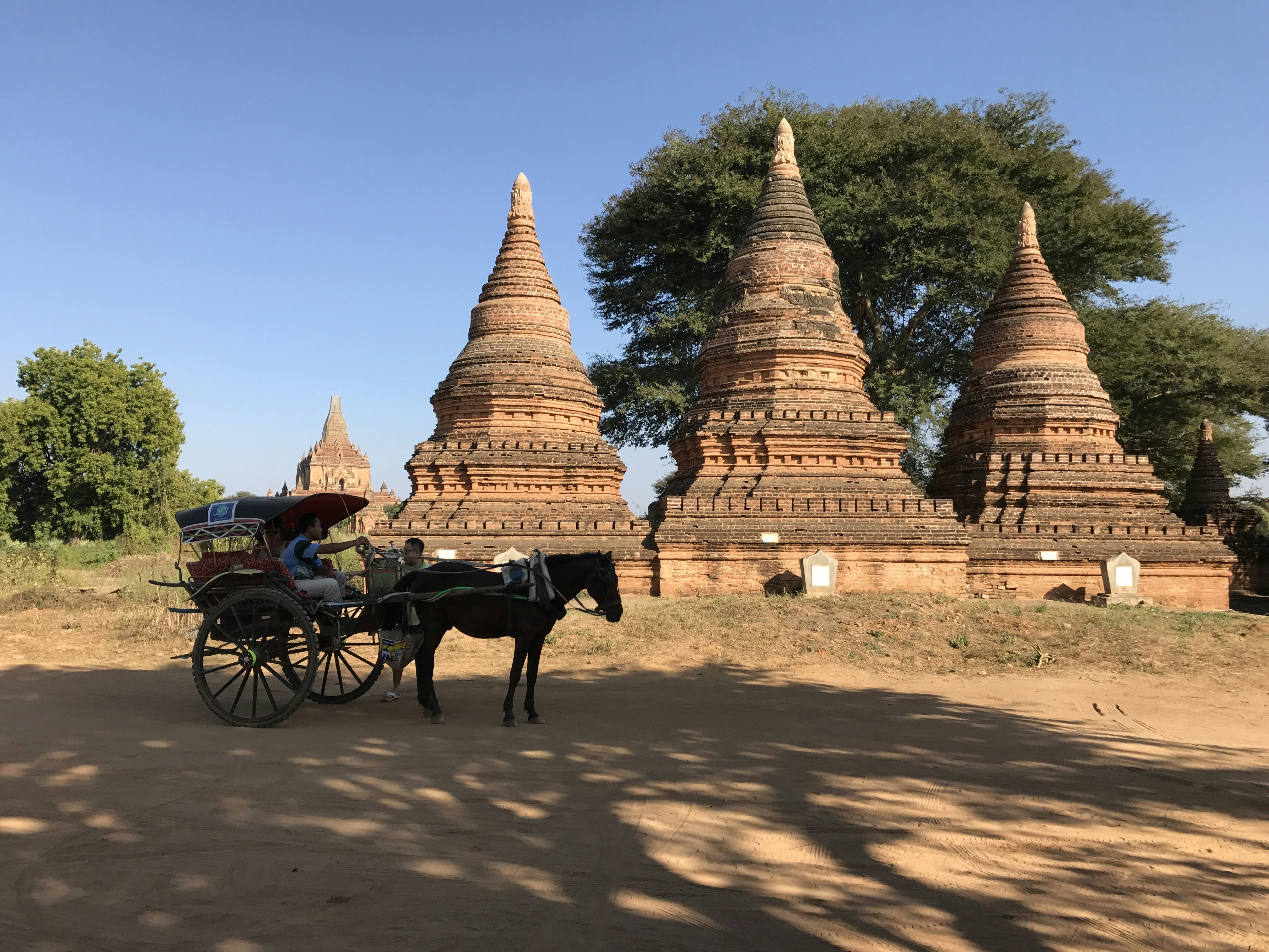 Dawei, Myanmar - Horse Cart
