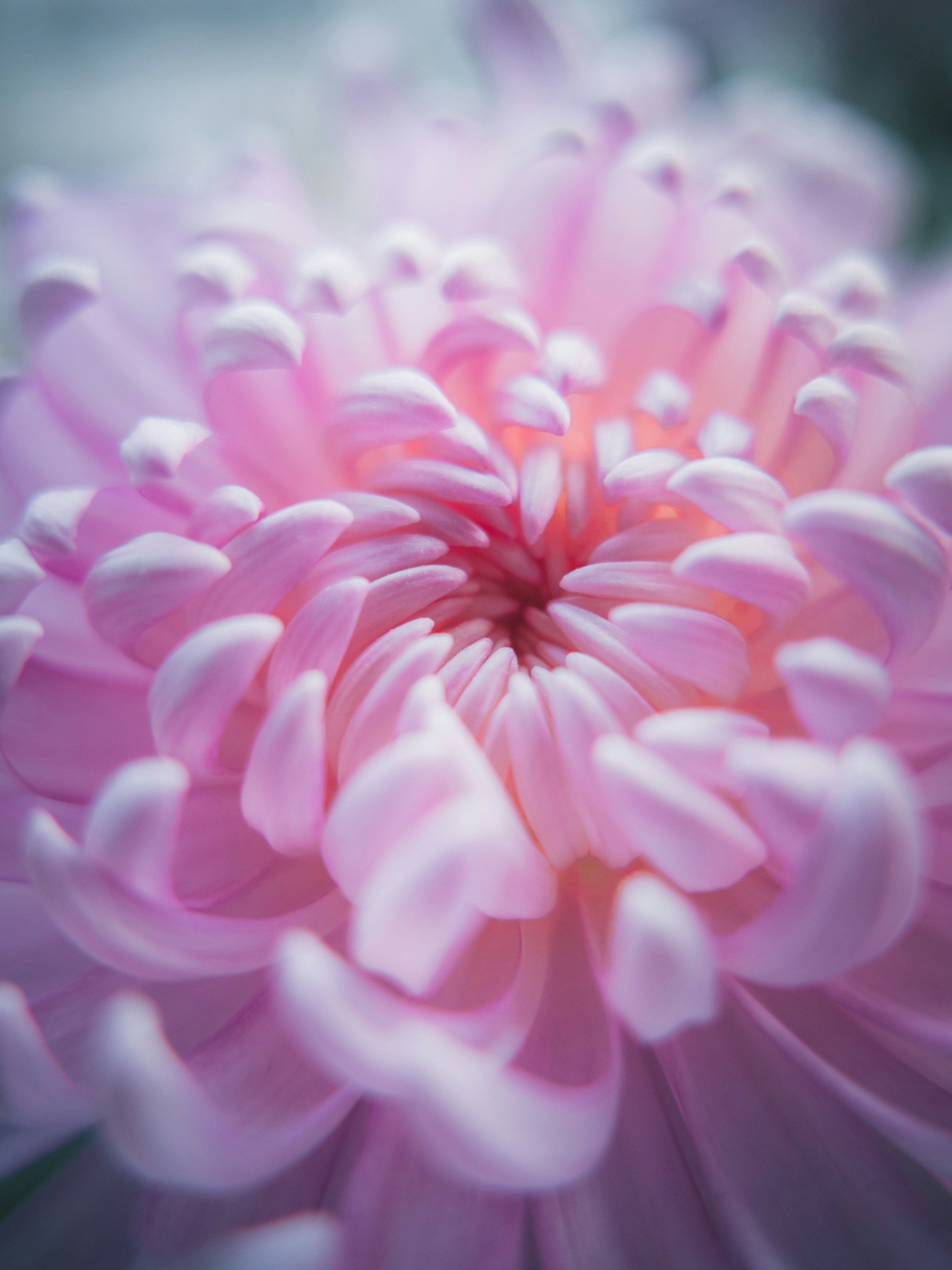 Photo by xiazheng1995