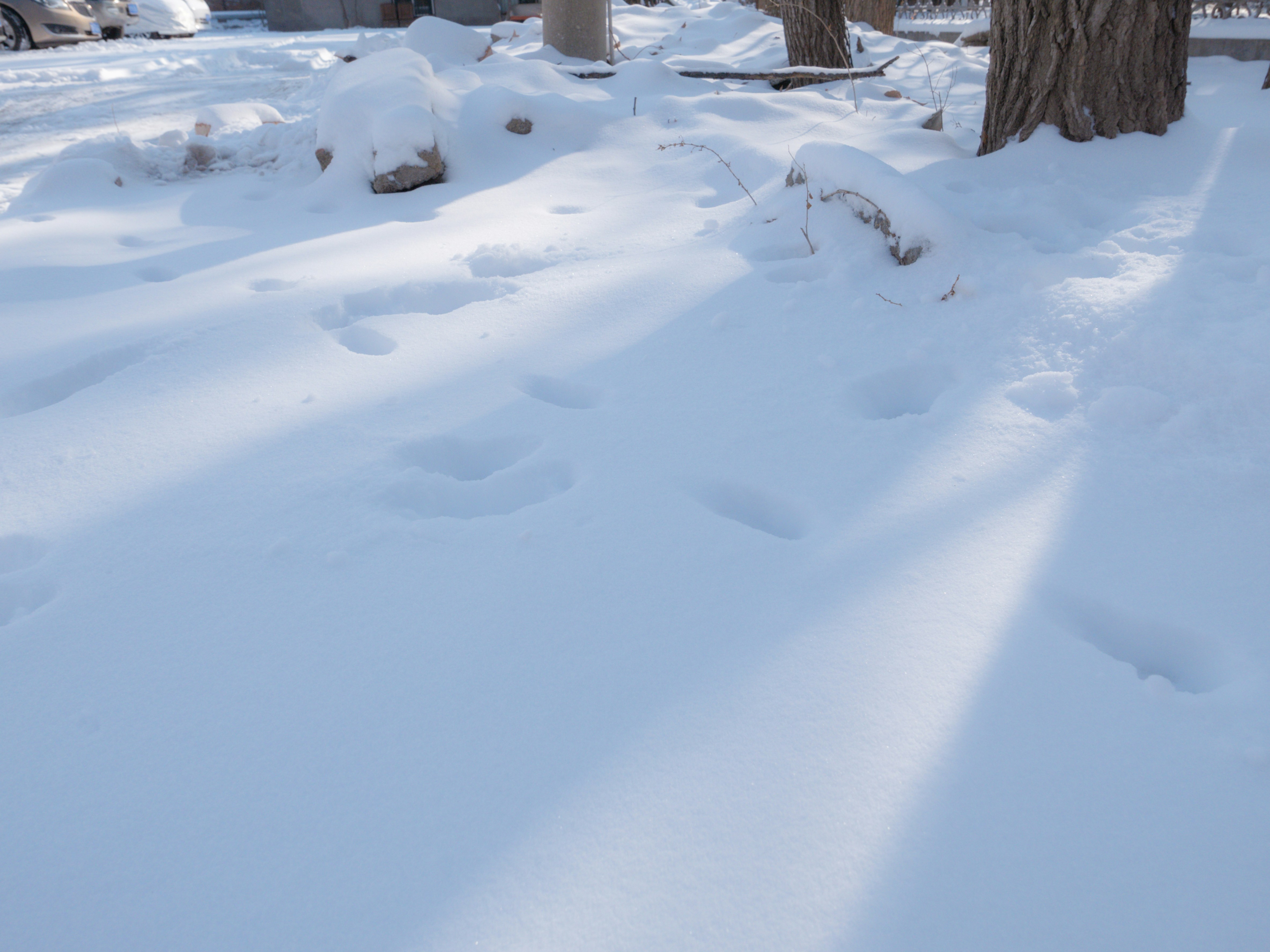 Photo by xiazheng1995