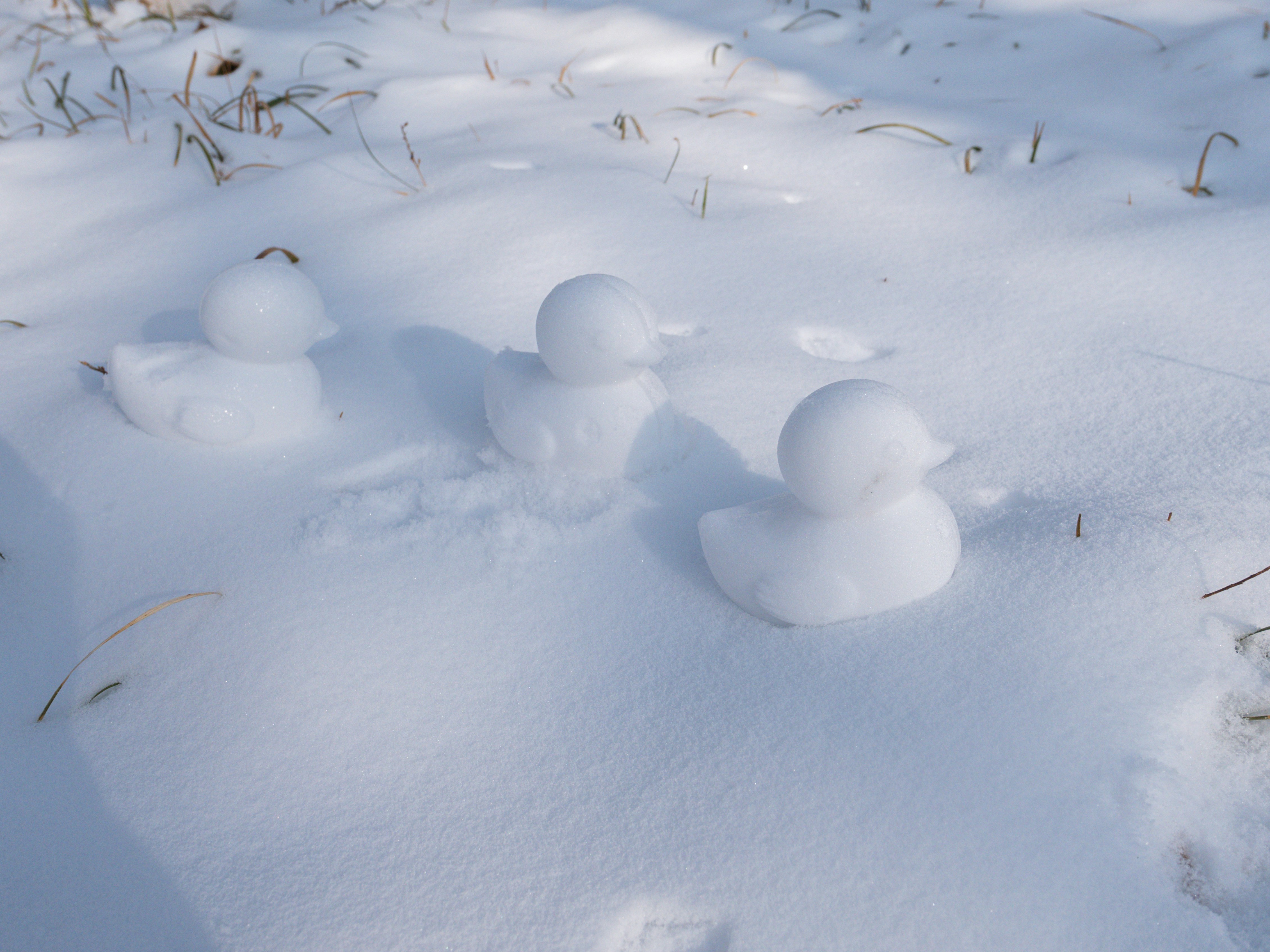 Photo by xiazheng1995