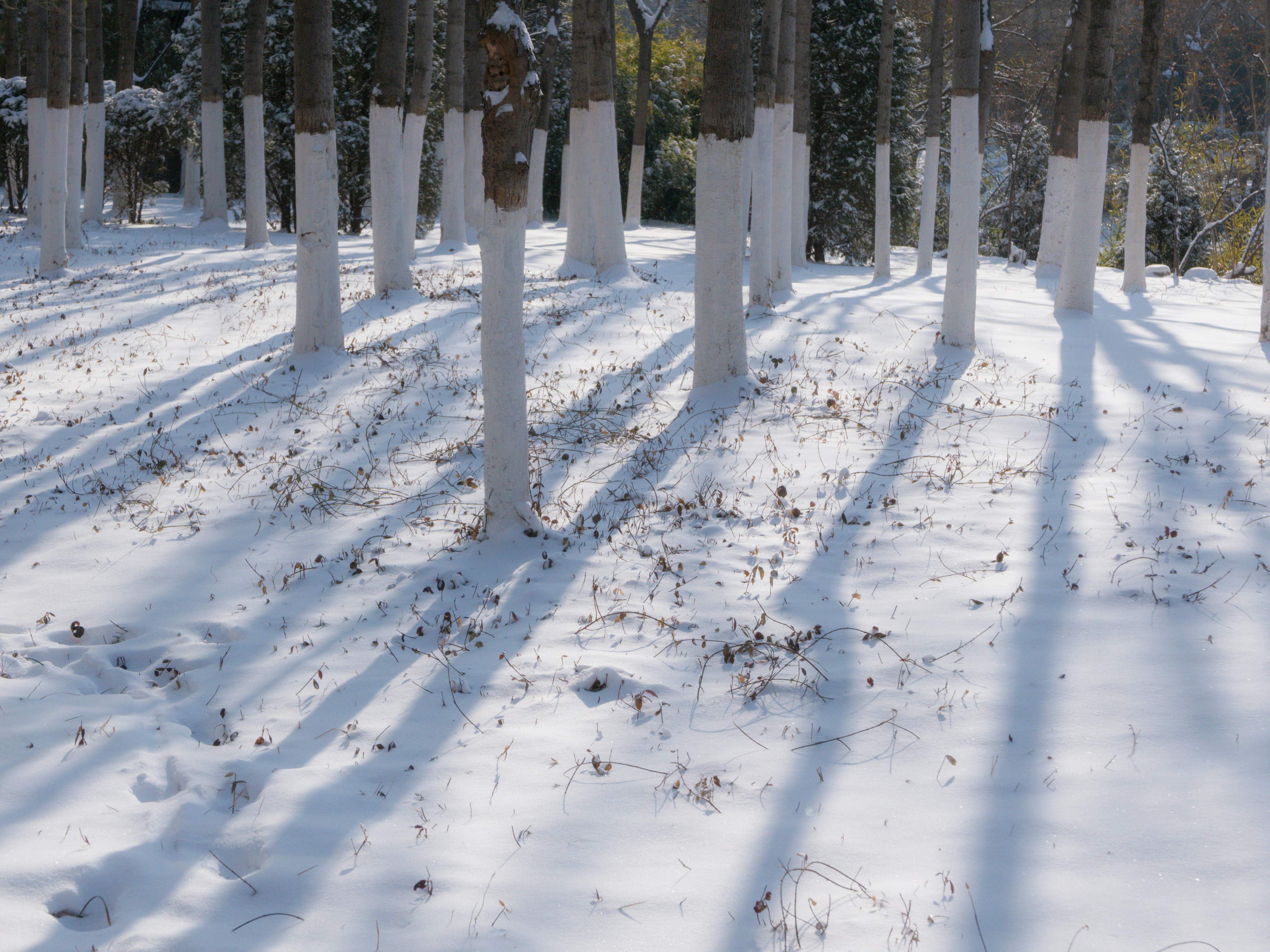 Photo by xiazheng1995