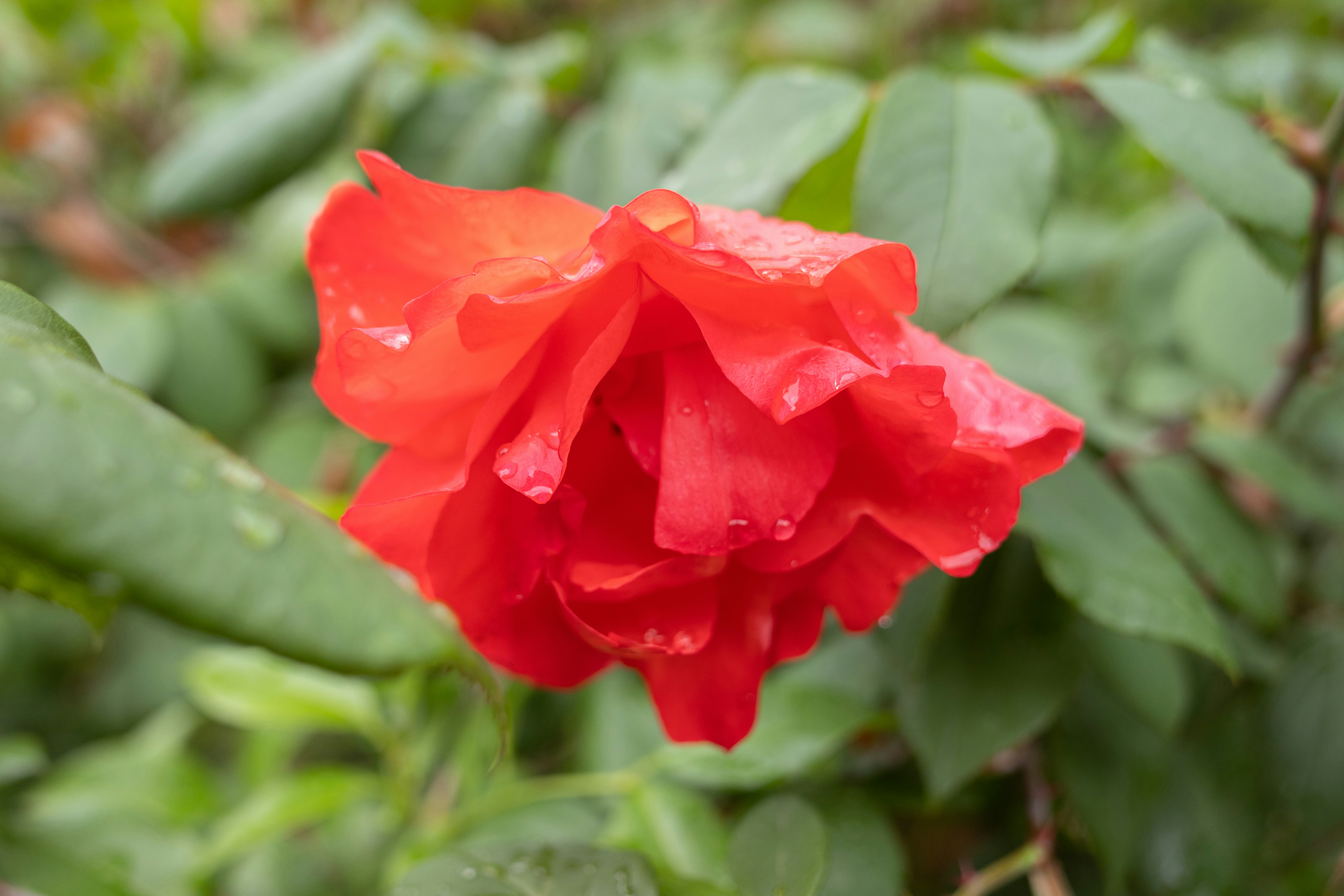 Photo by xiazheng1995