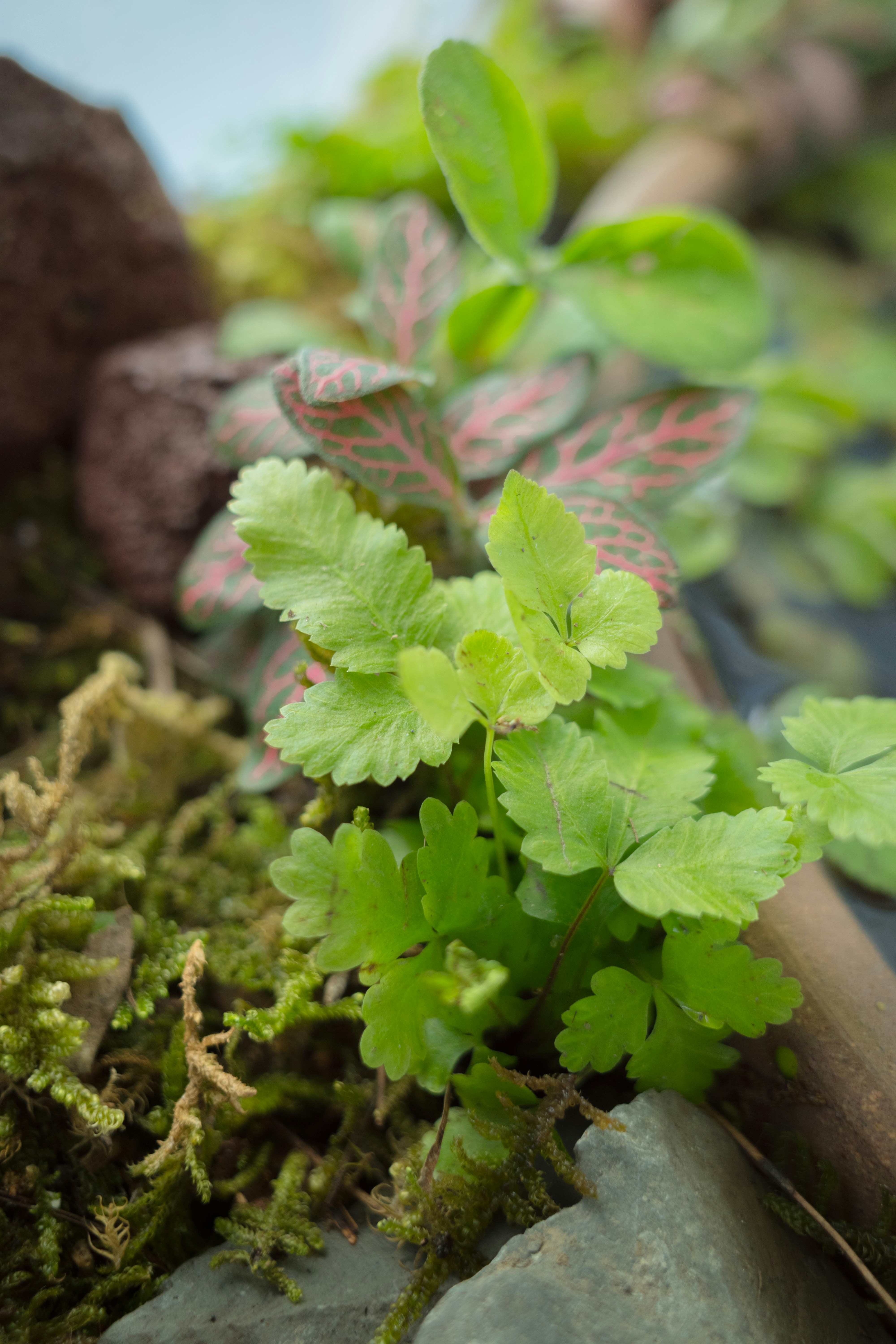 Photo by xiazheng1995