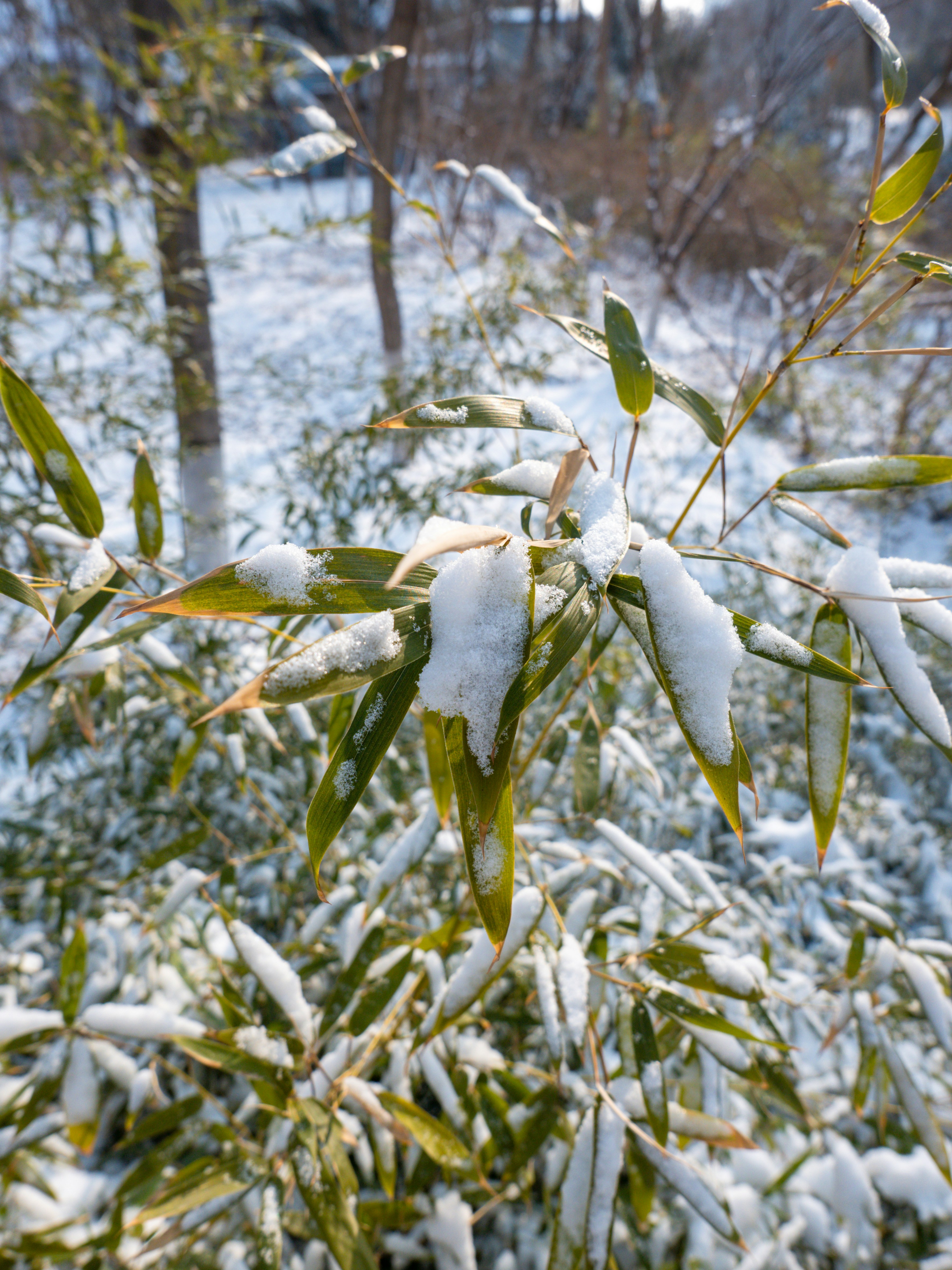 Photo by xiazheng1995