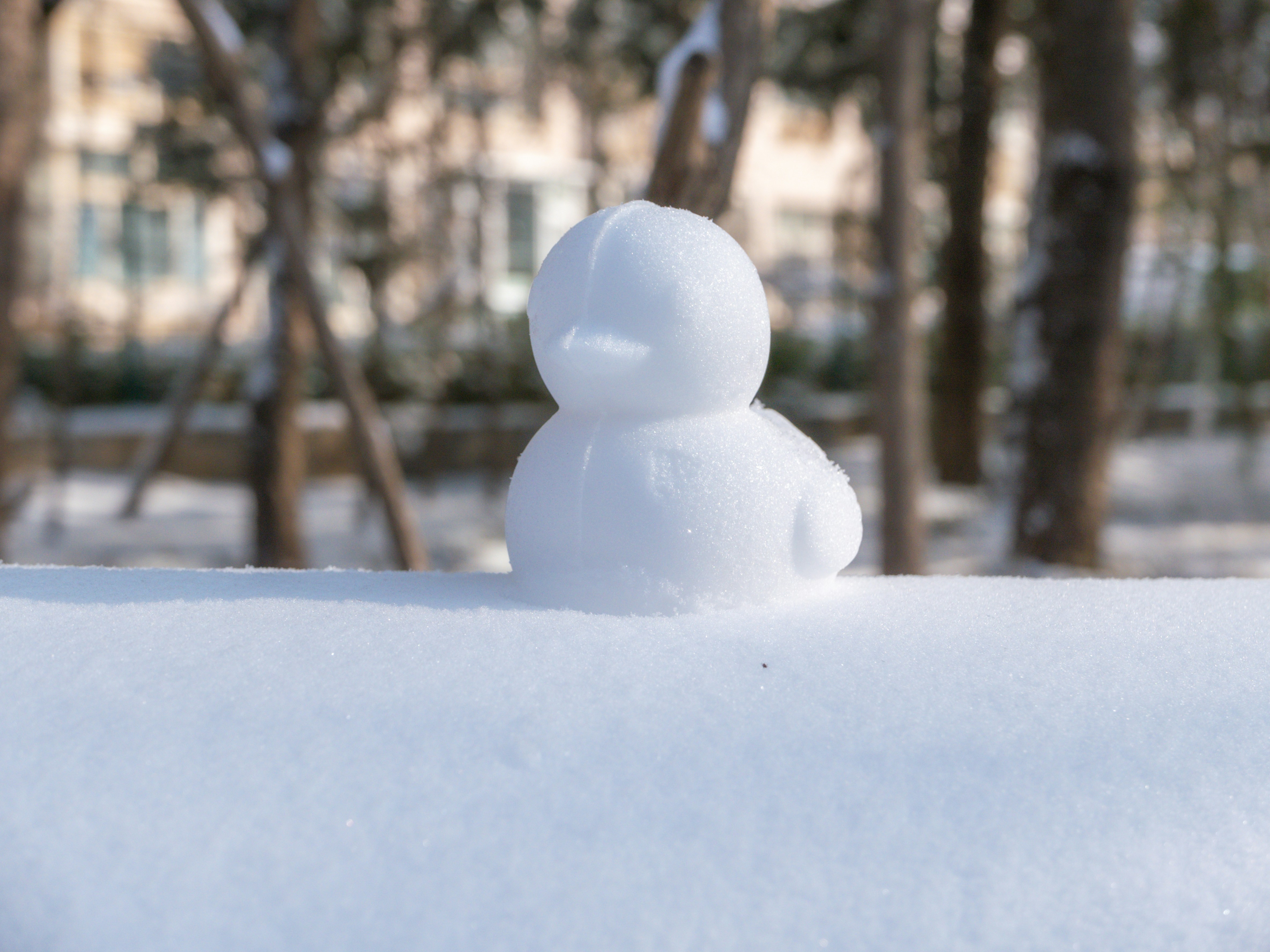 Photo by xiazheng1995