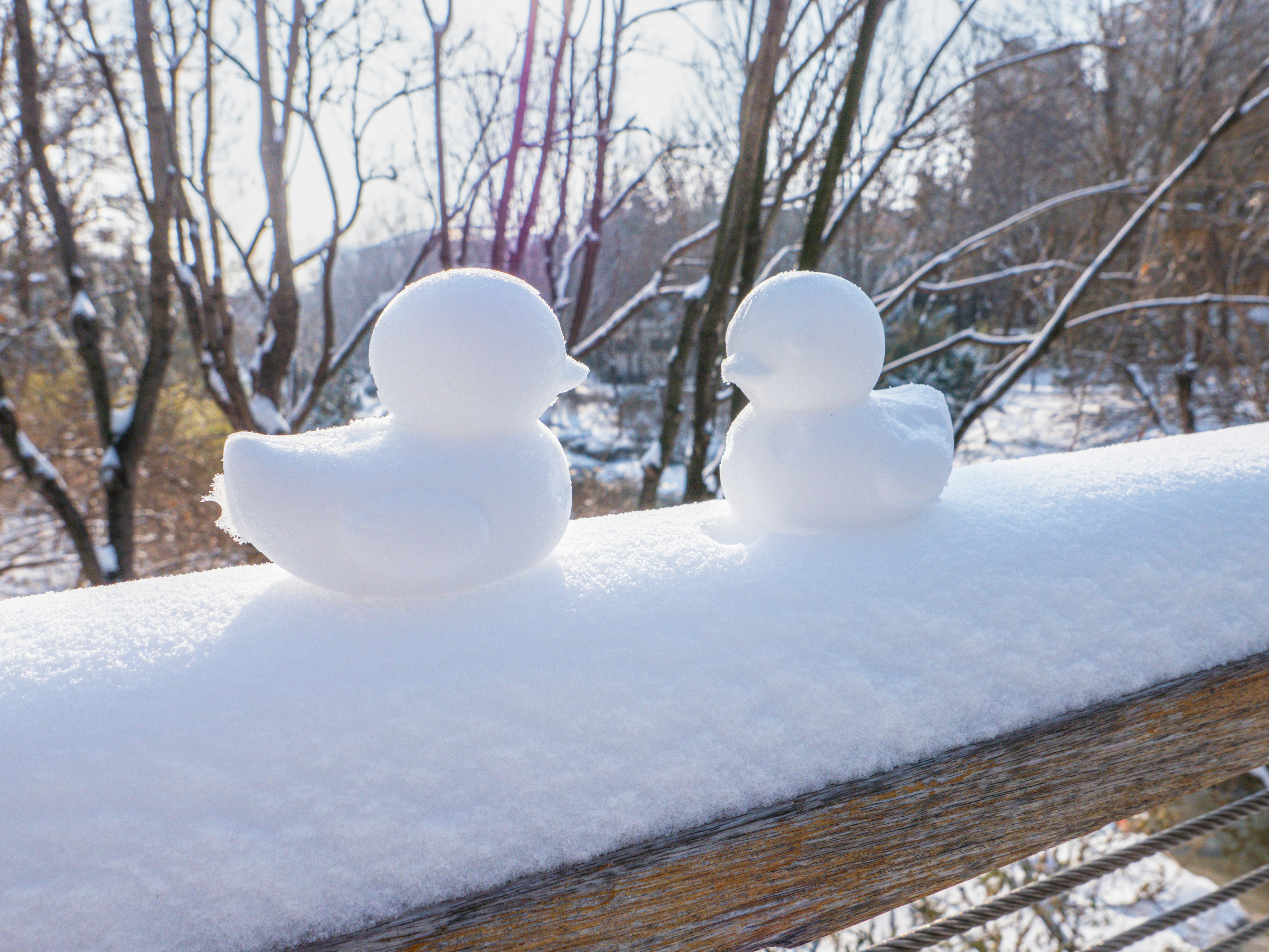 Photo by xiazheng1995