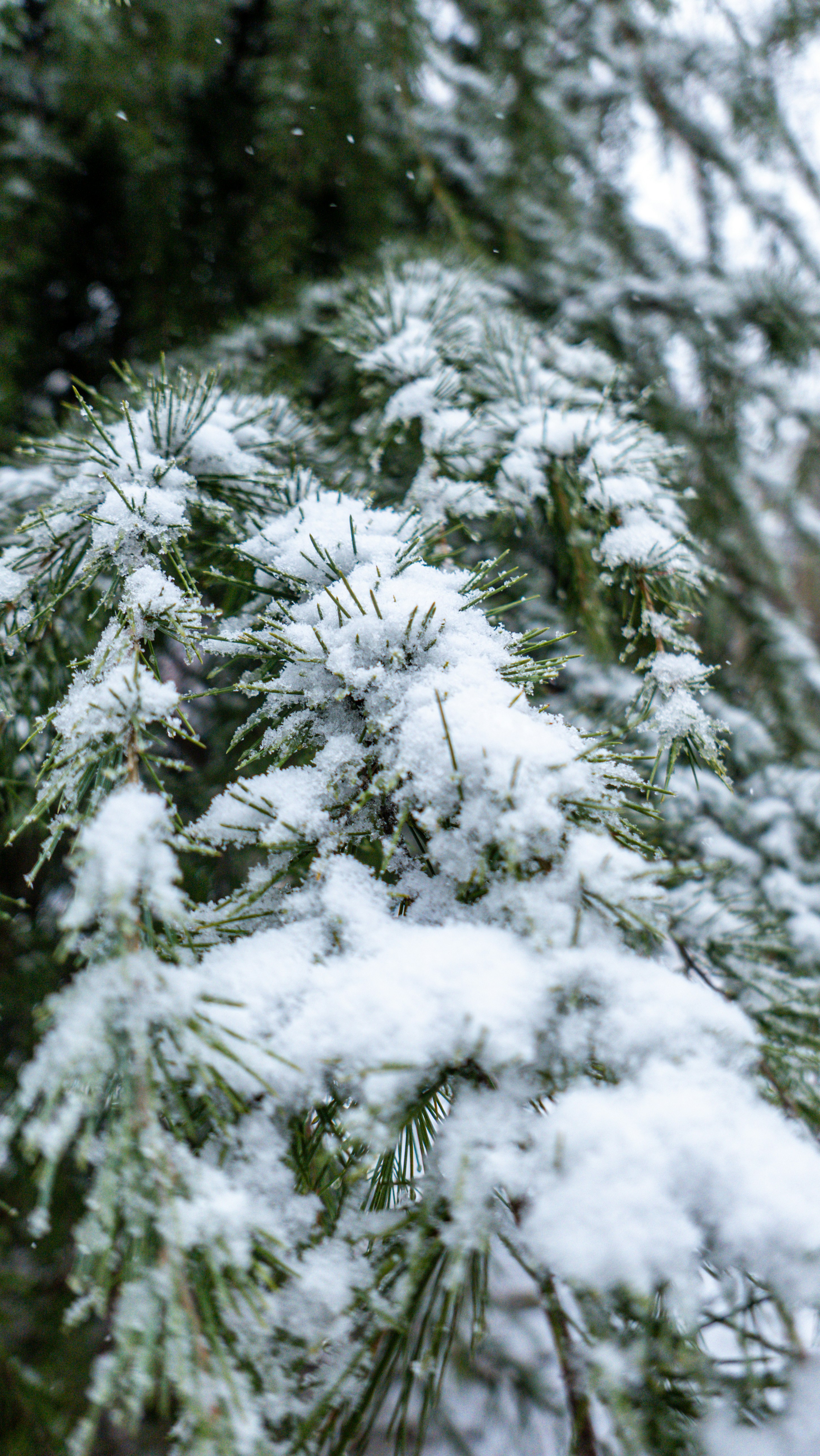 Photo by xiazheng1995