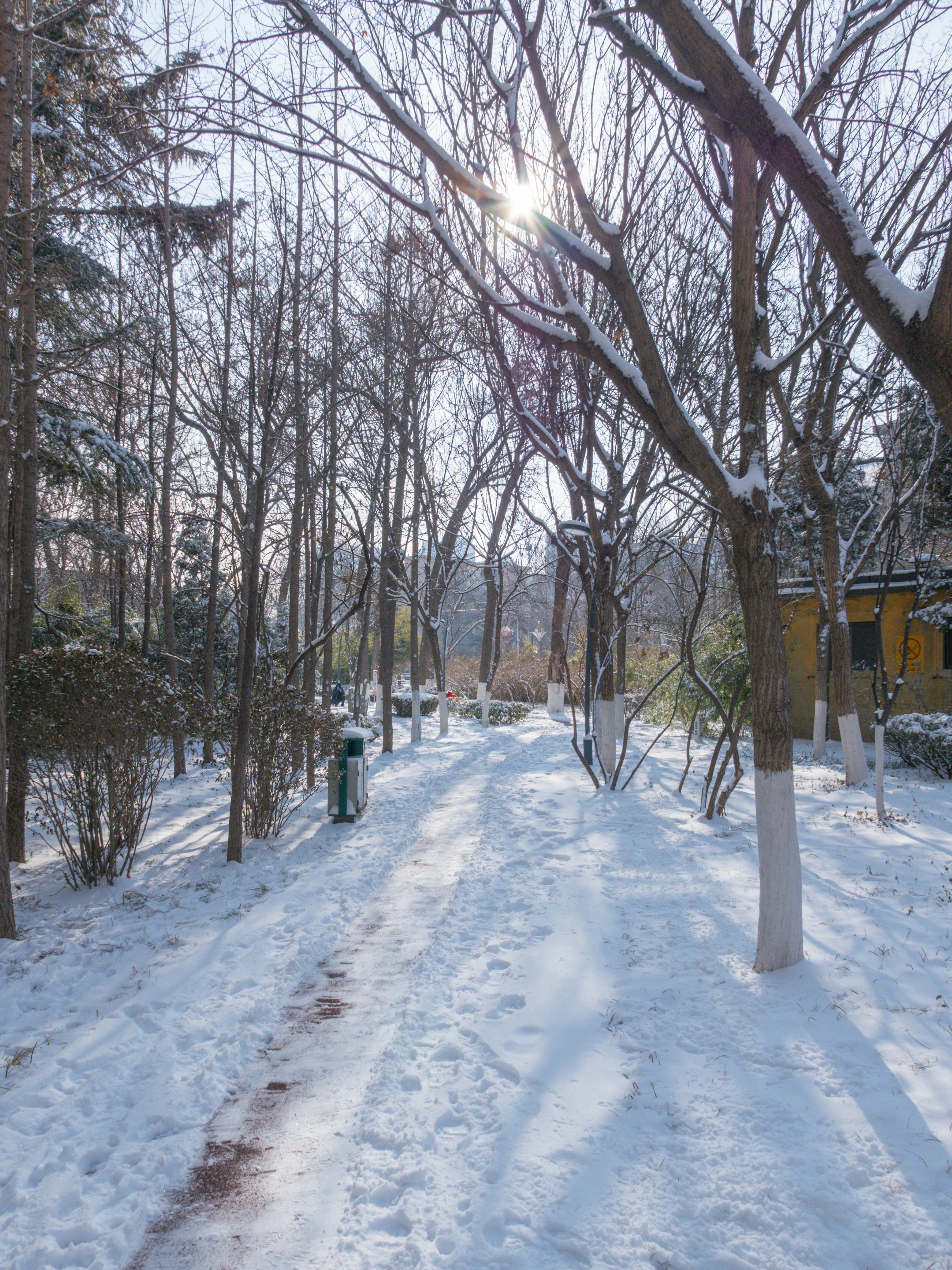 Photo by xiazheng1995