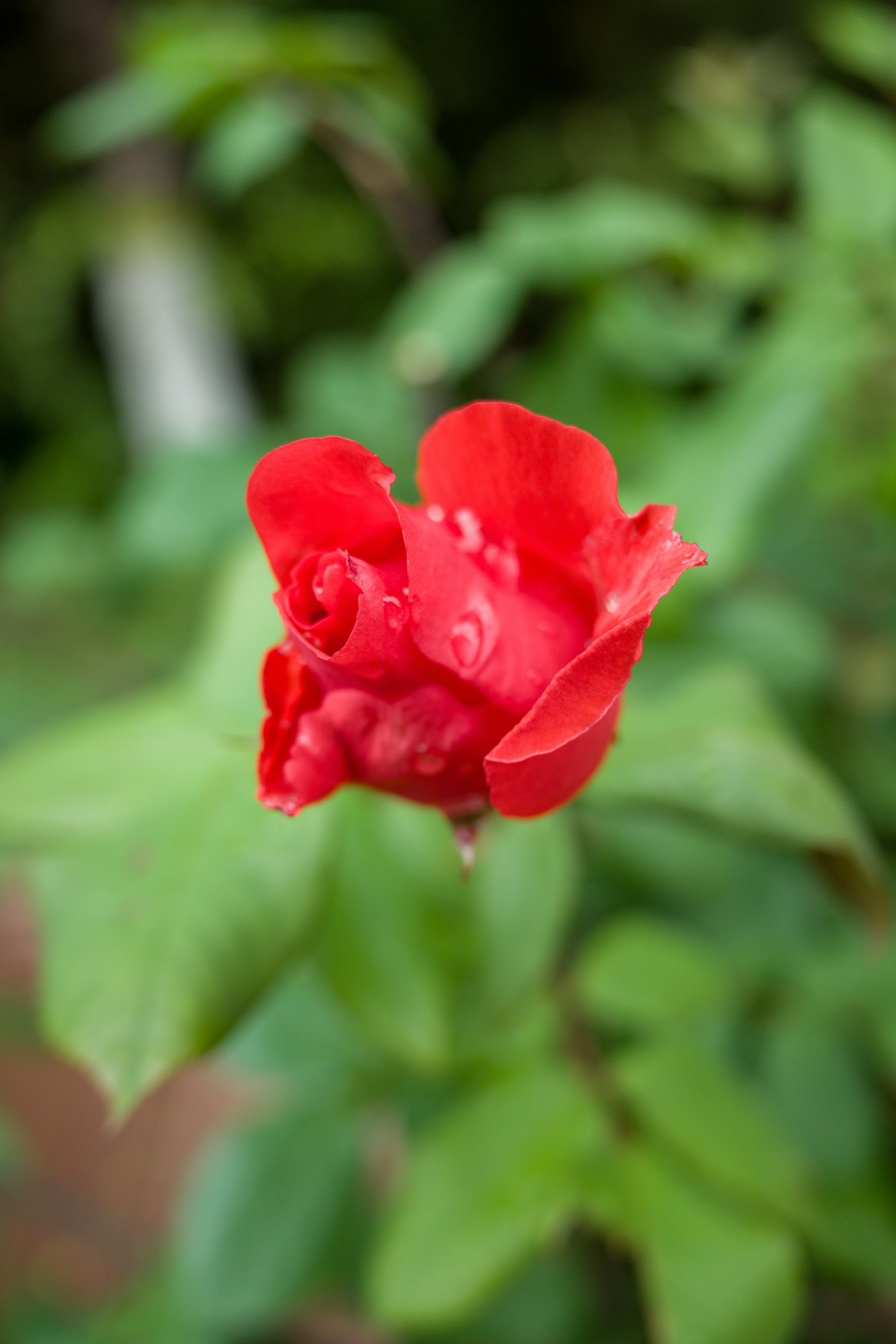 Photo by xiazheng1995