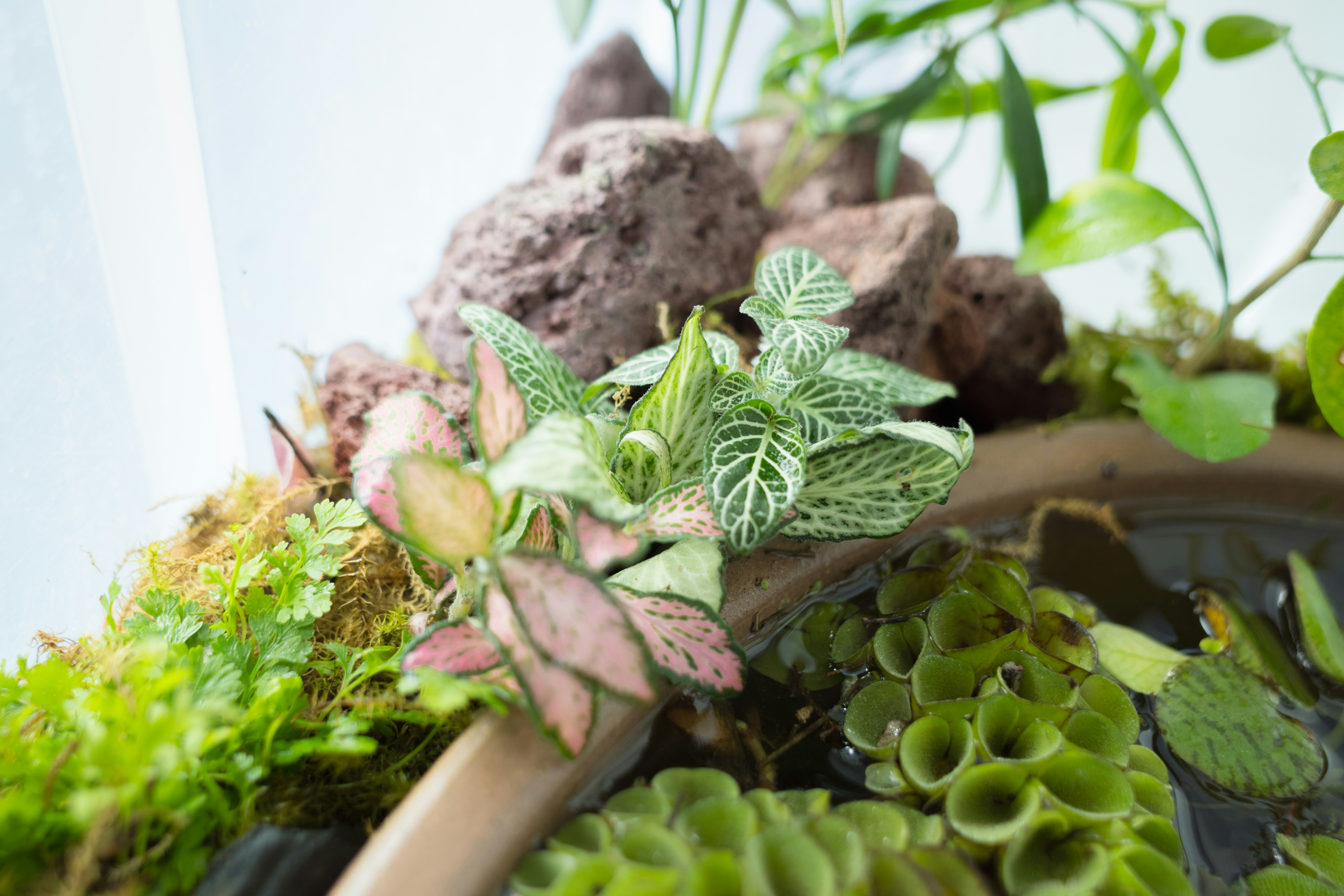 Photo by xiazheng1995