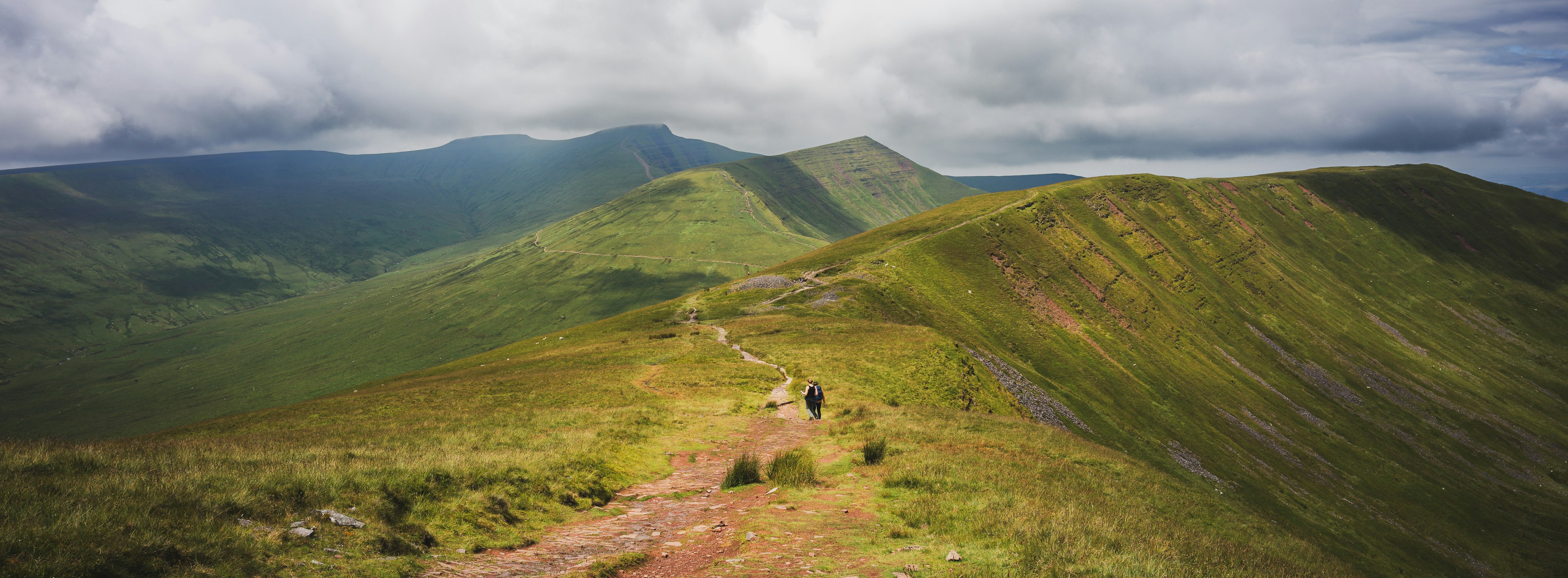 A man riding a mountain bike down a lush green hillside