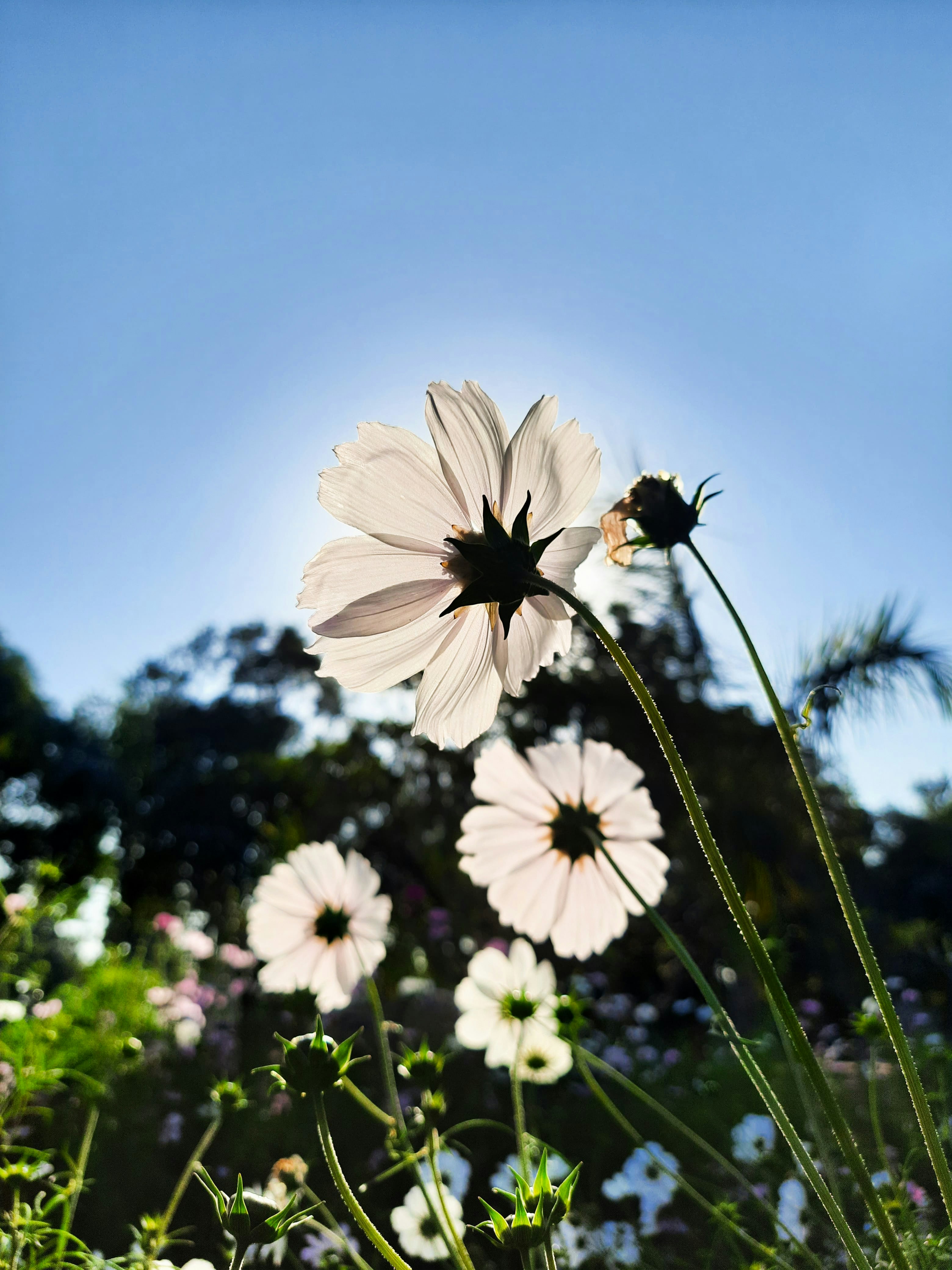 Photo by saurabhkumar4525