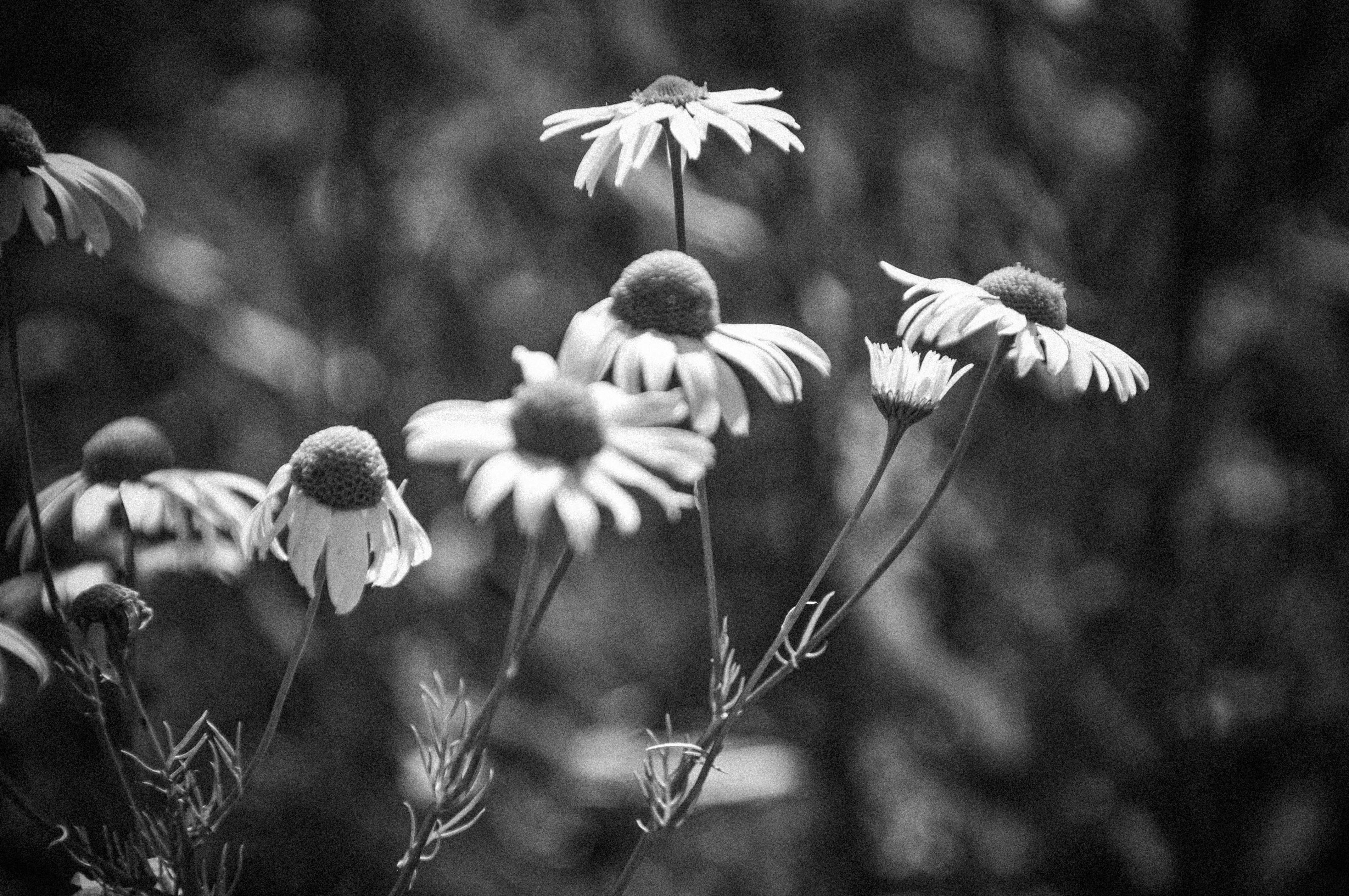 Photo by elenasizontseva