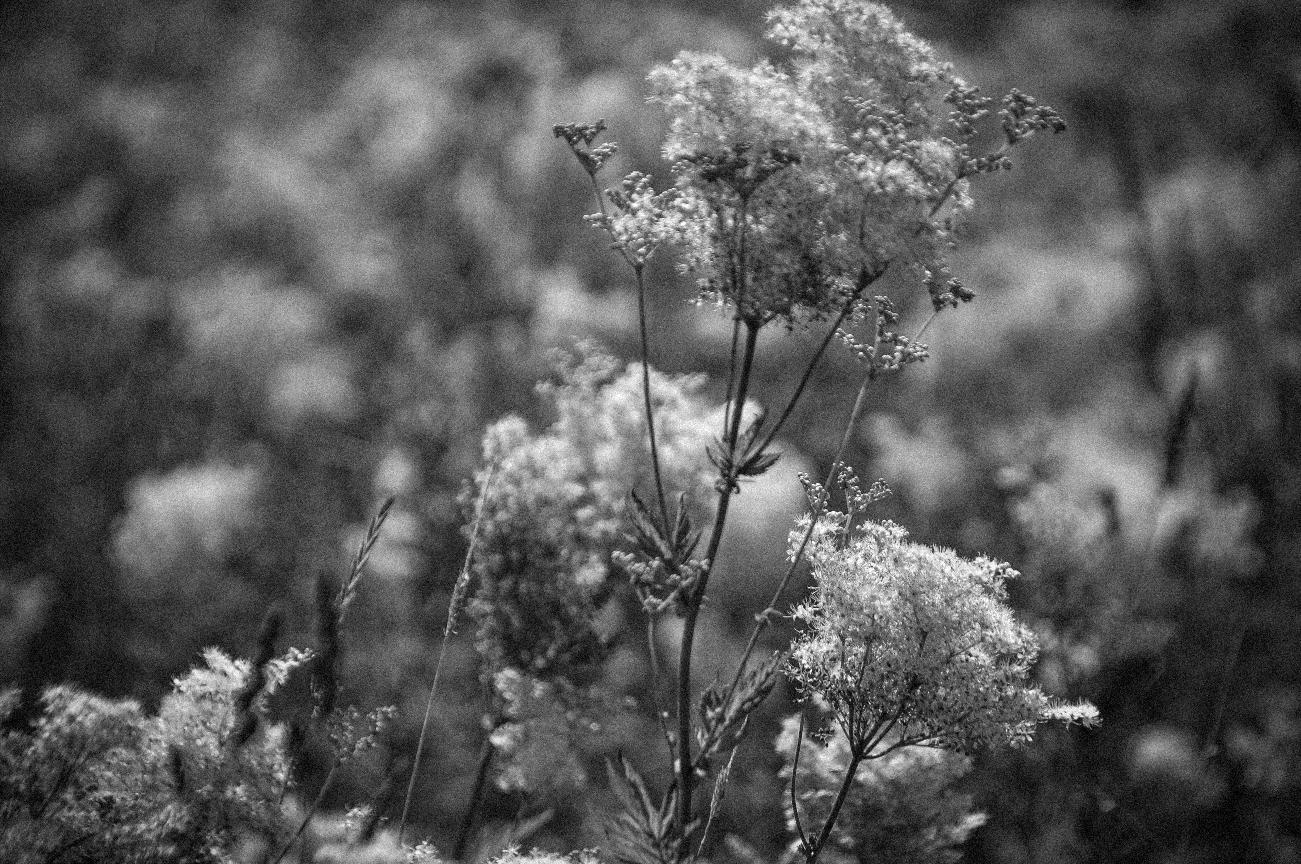 Photo by elenasizontseva