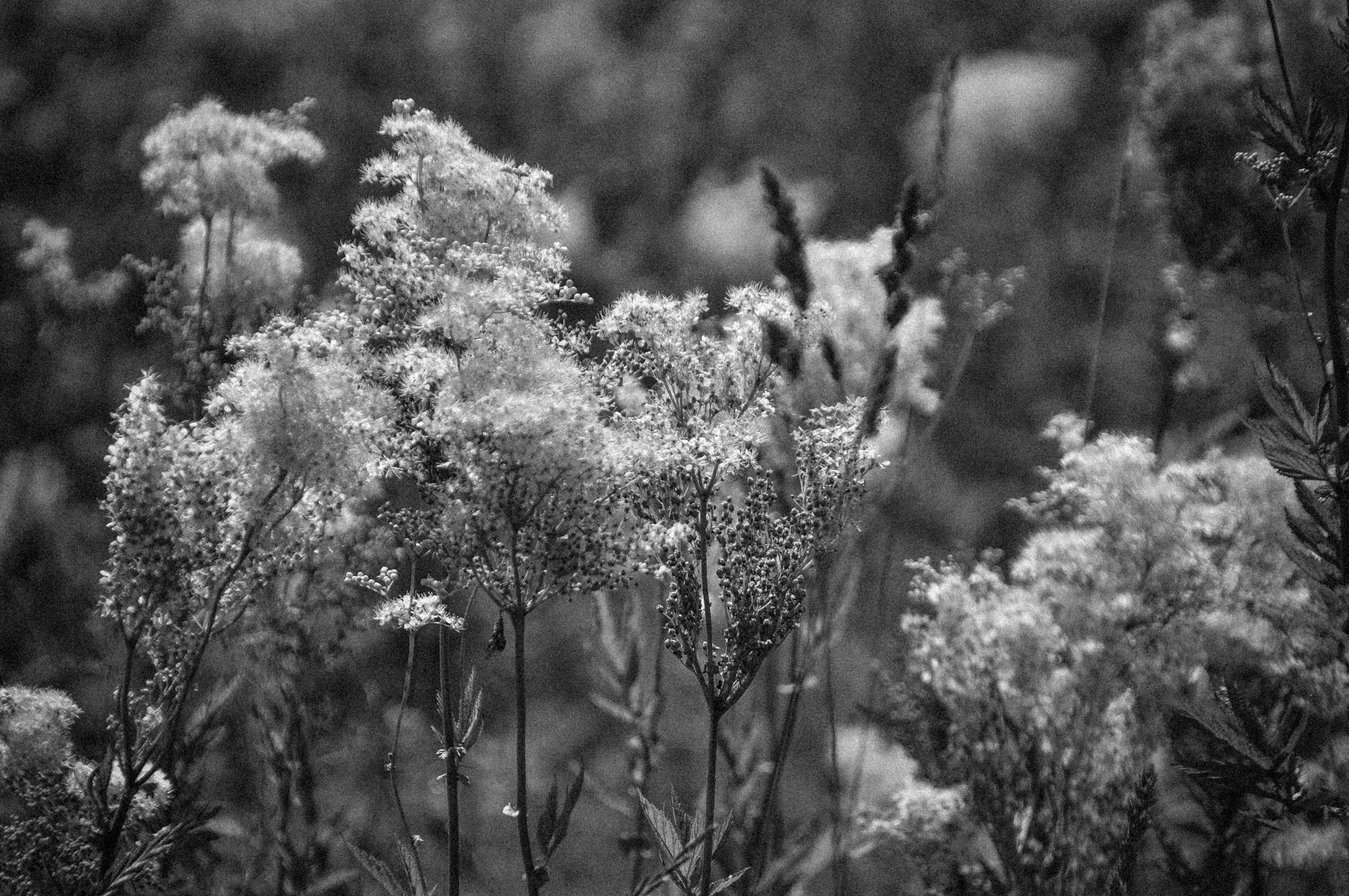 Photo by elenasizontseva