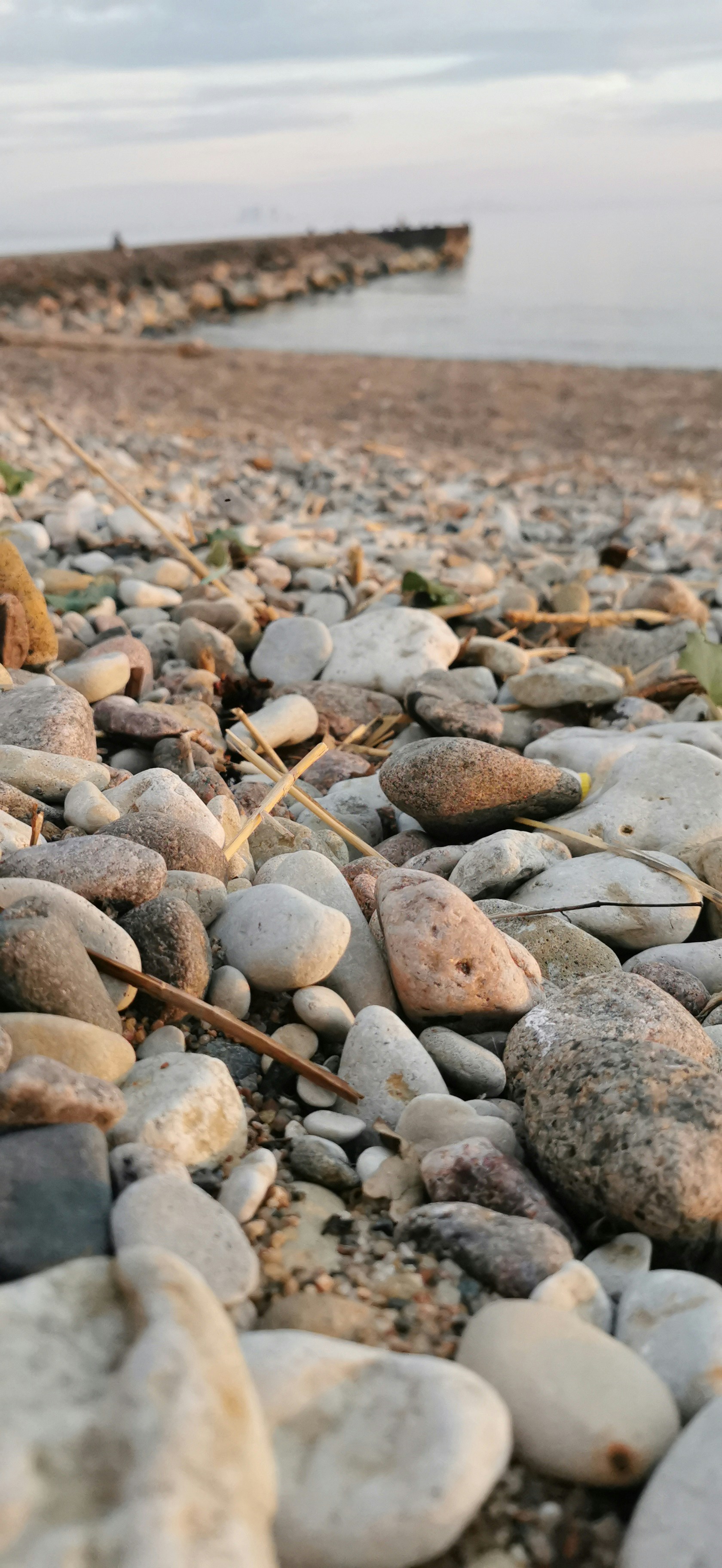 A bunch of rocks on a beach with a body of water in the background