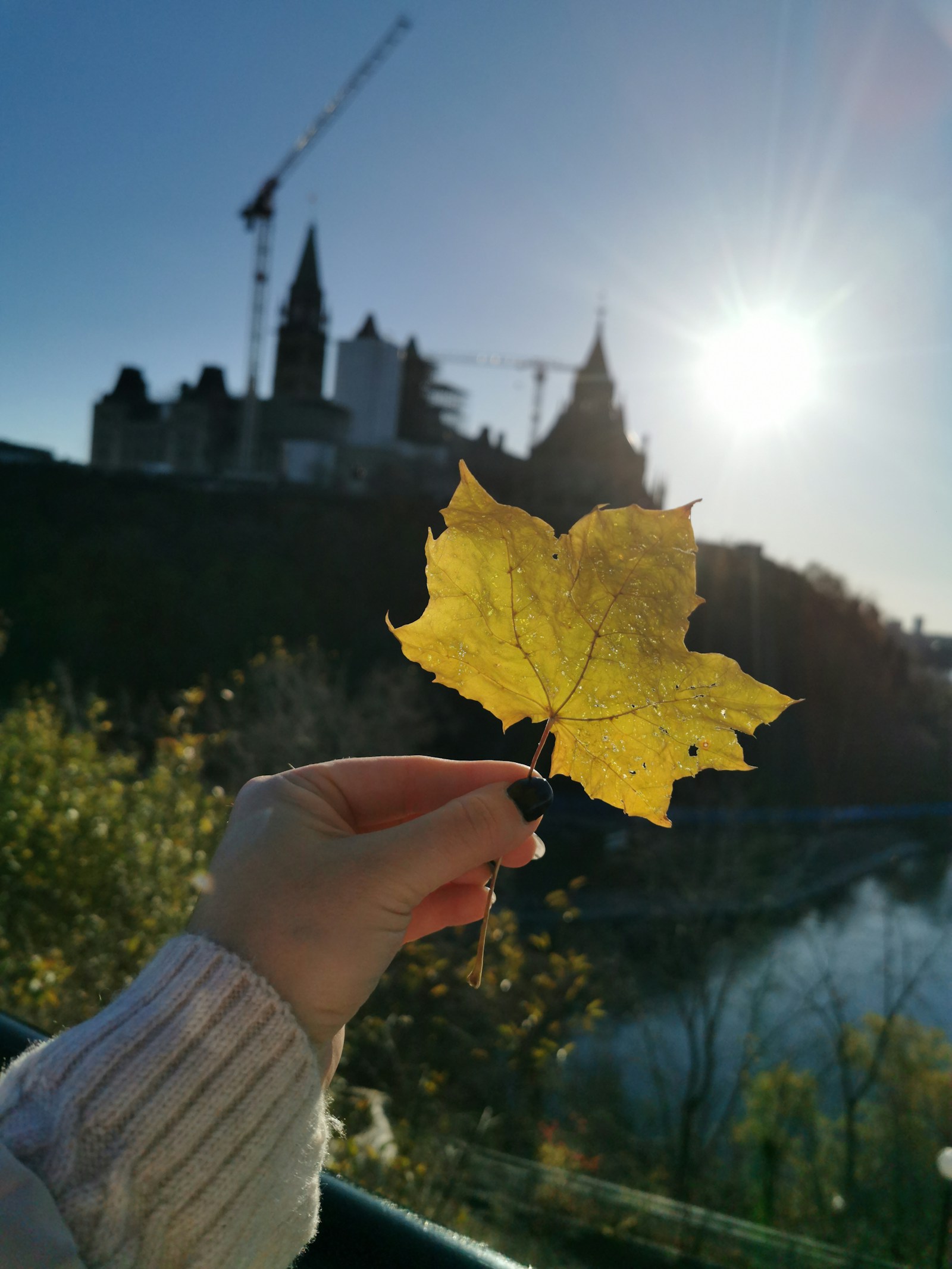 Thanksgiving Weekend in Ottawa 2026: Things to Do