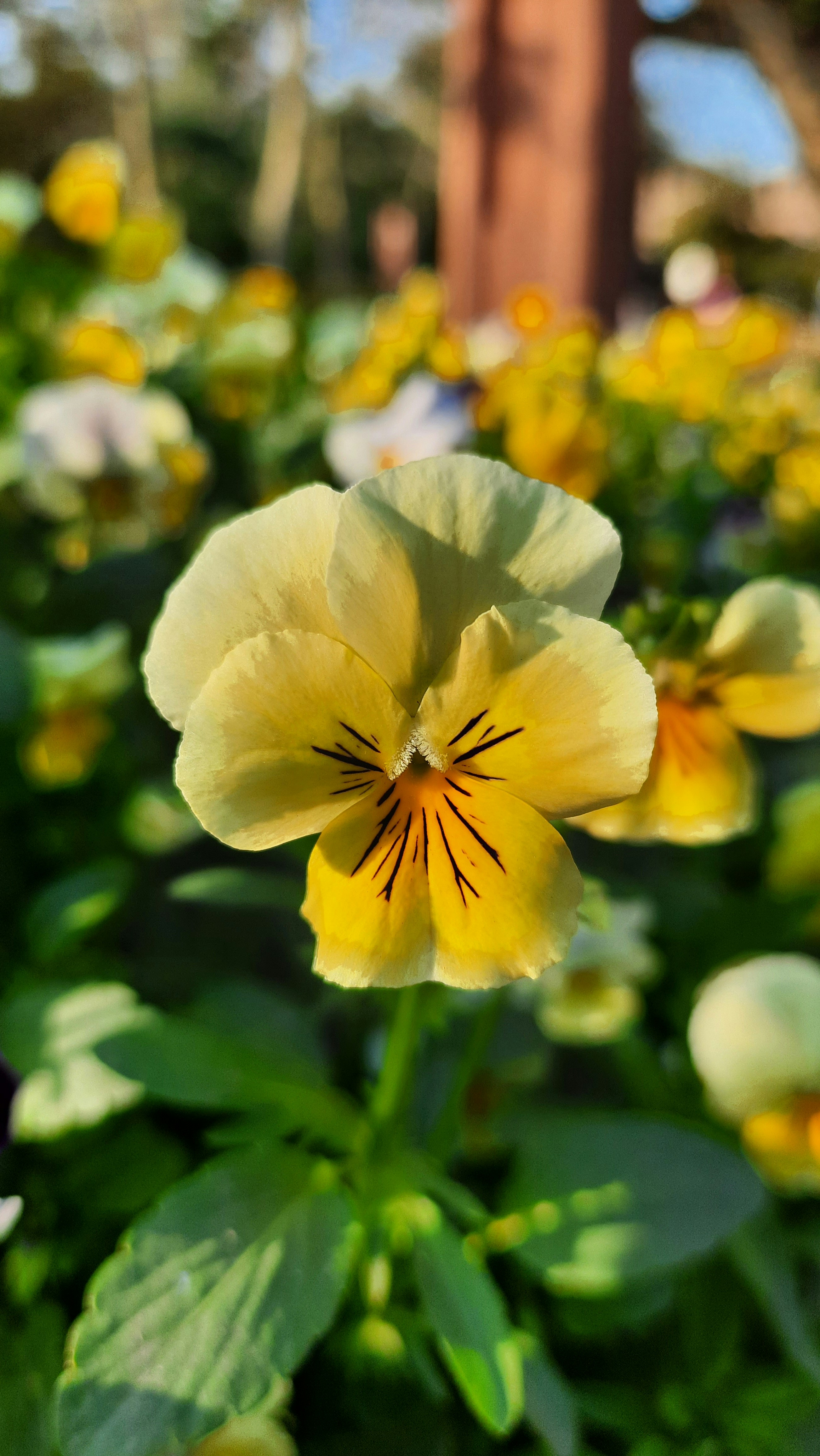 Photo by saurabhkumar4525