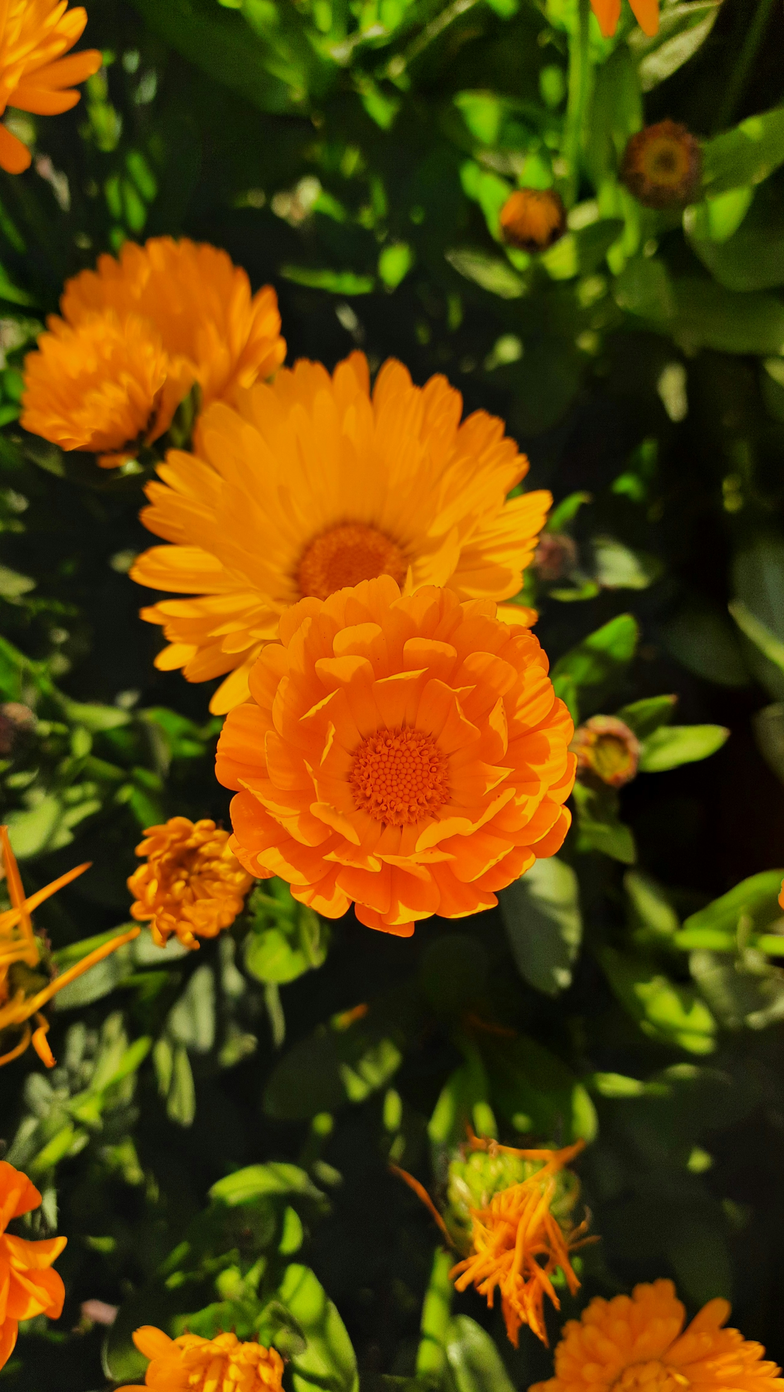 Photo by saurabhkumar4525