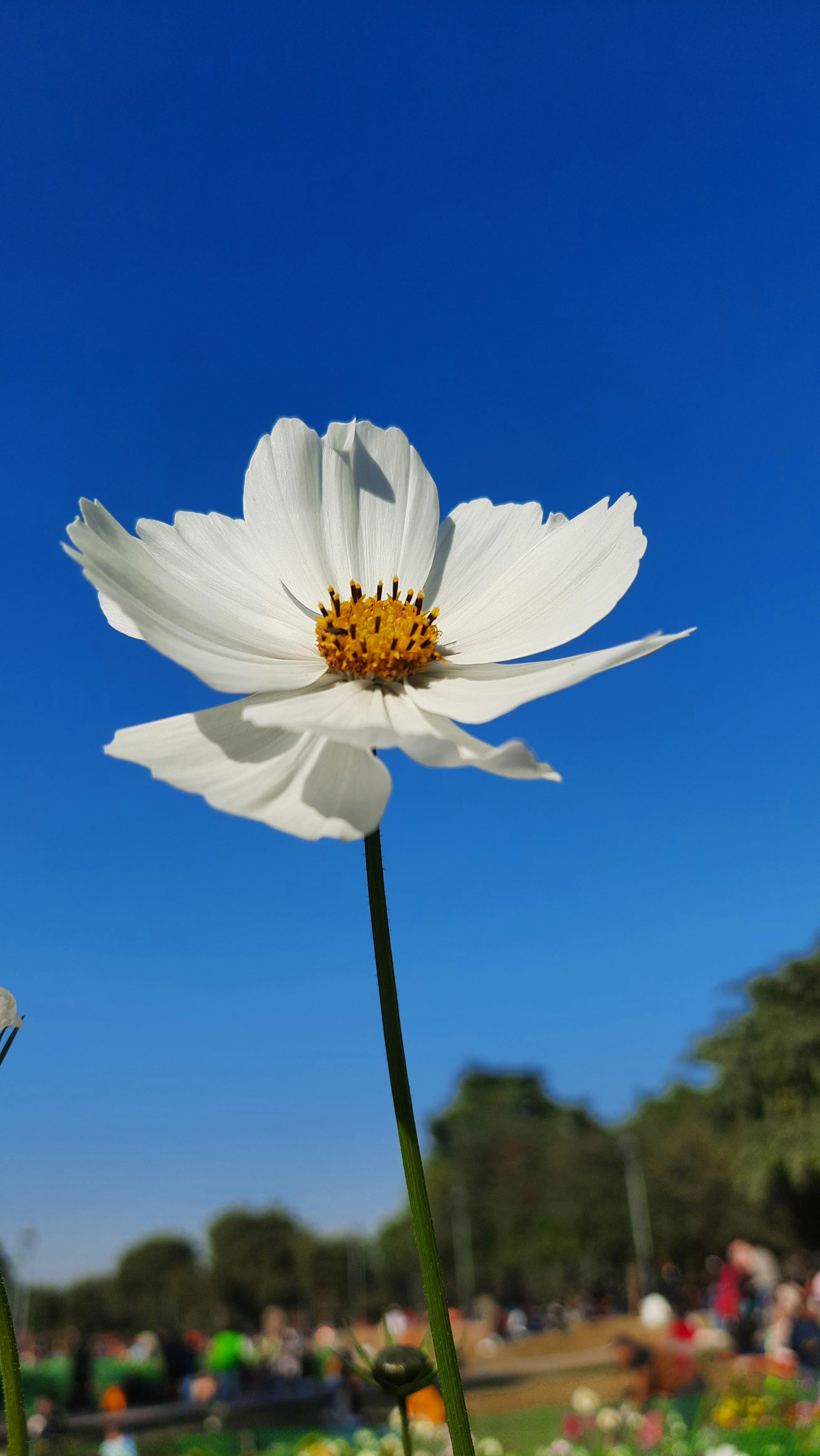 Photo by saurabhkumar4525