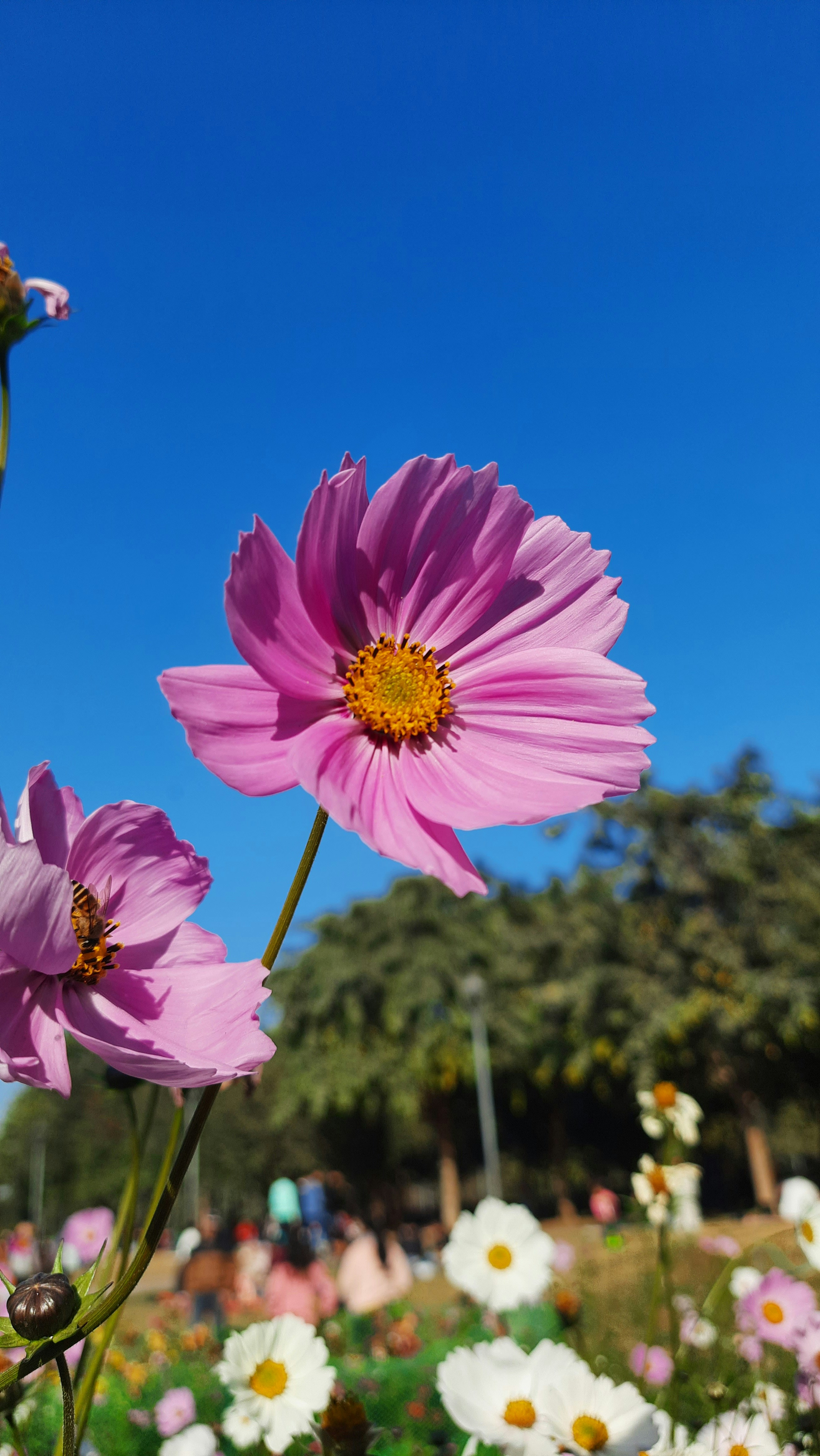 Photo by saurabhkumar4525