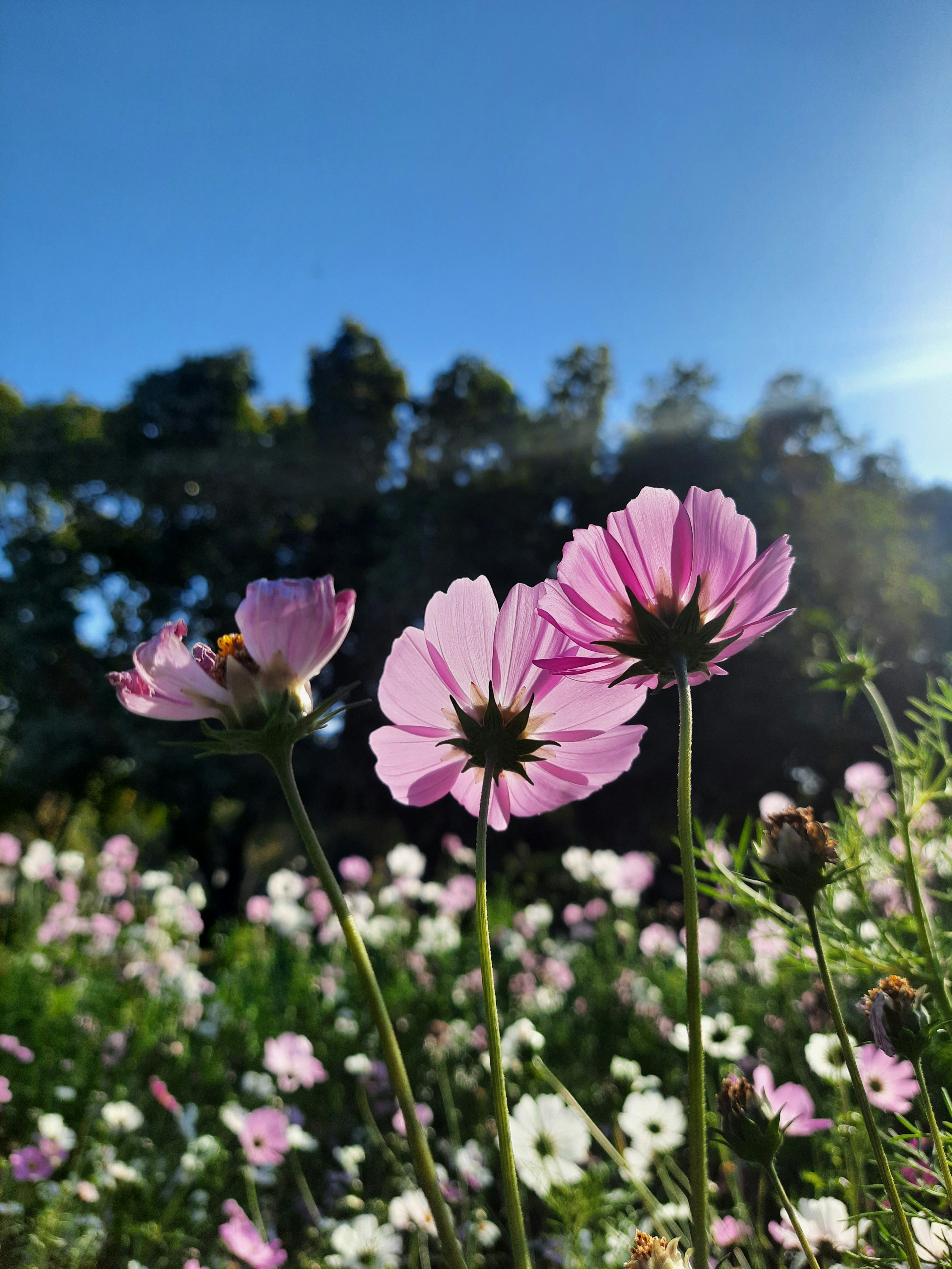 Photo by saurabhkumar4525