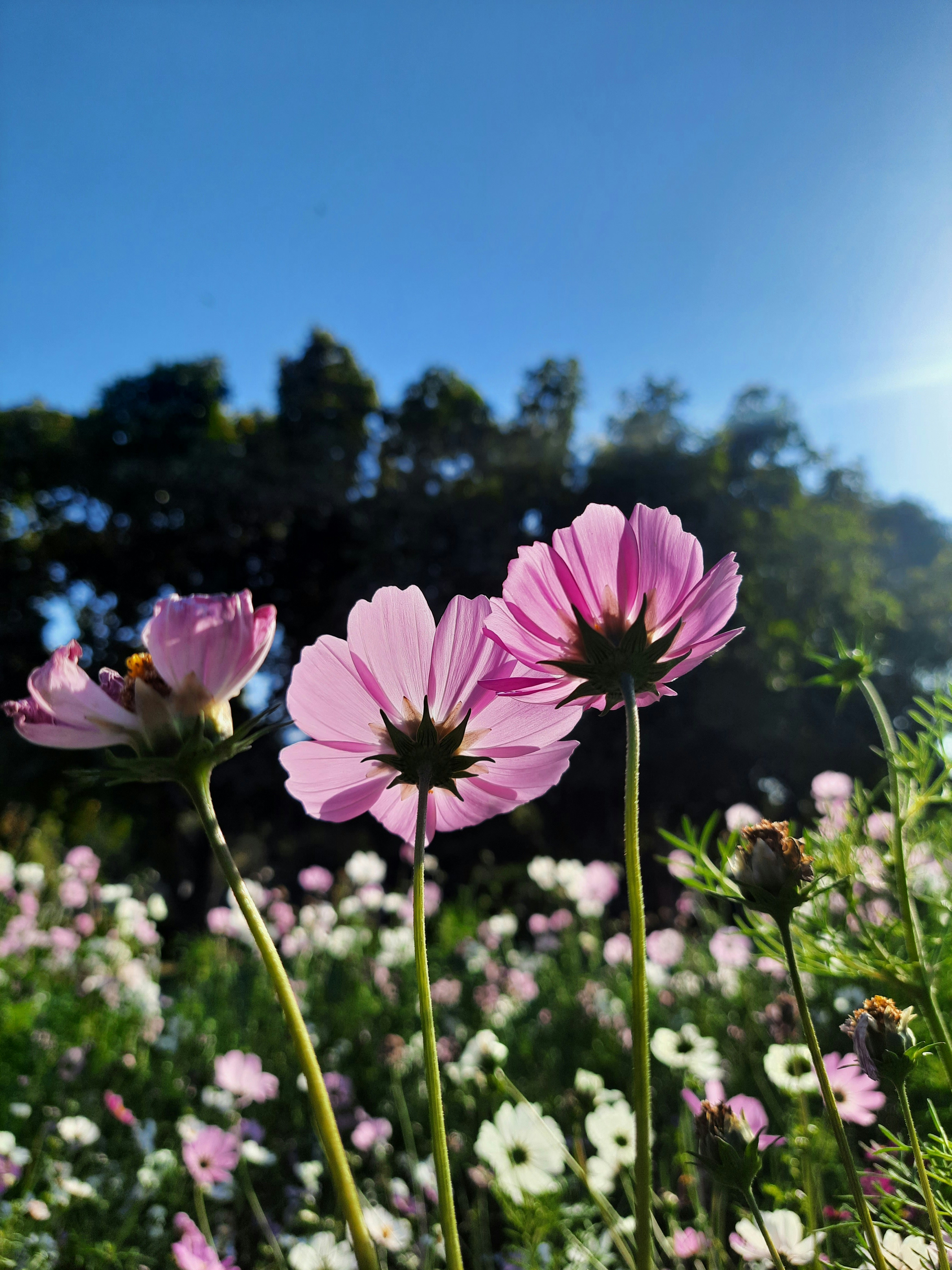 Photo by saurabhkumar4525