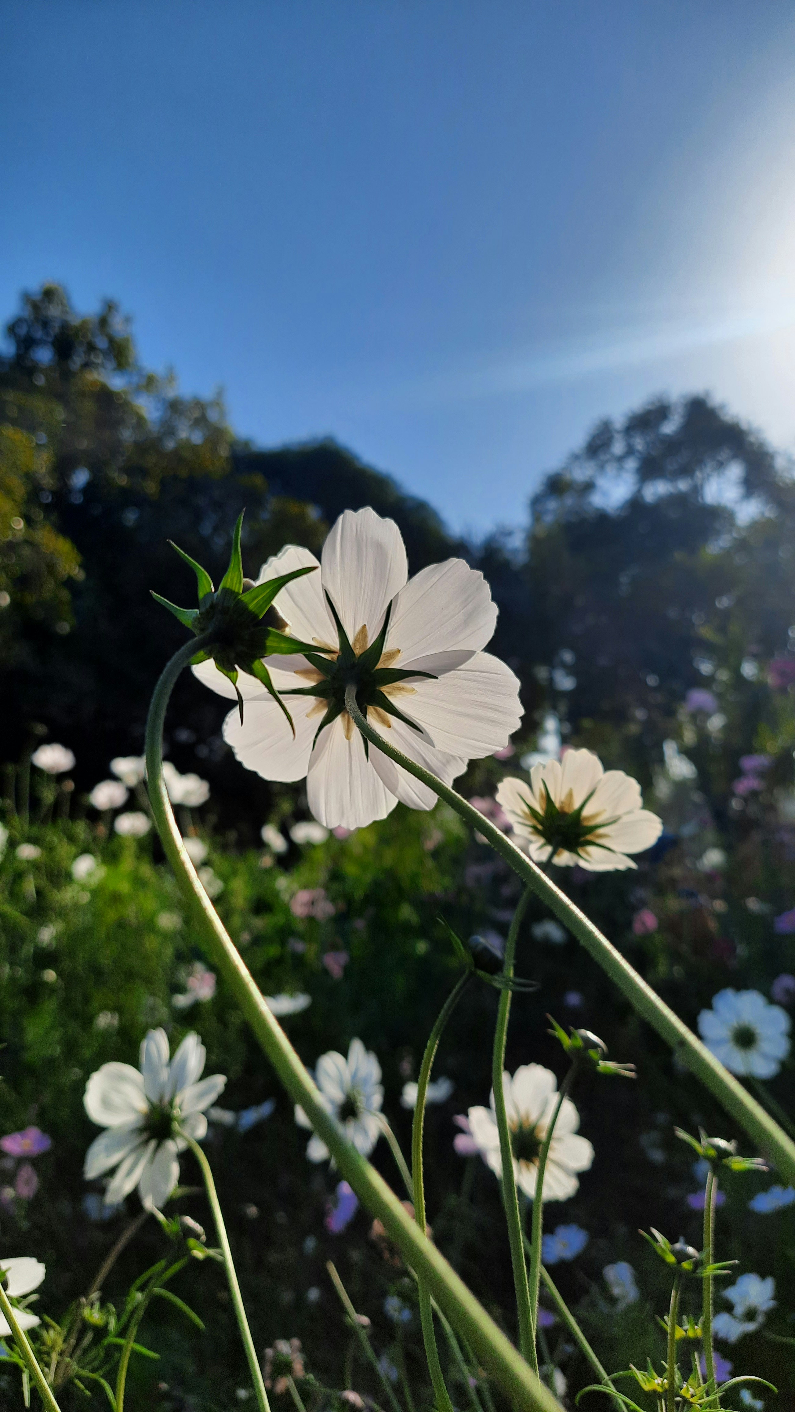 Photo by saurabhkumar4525