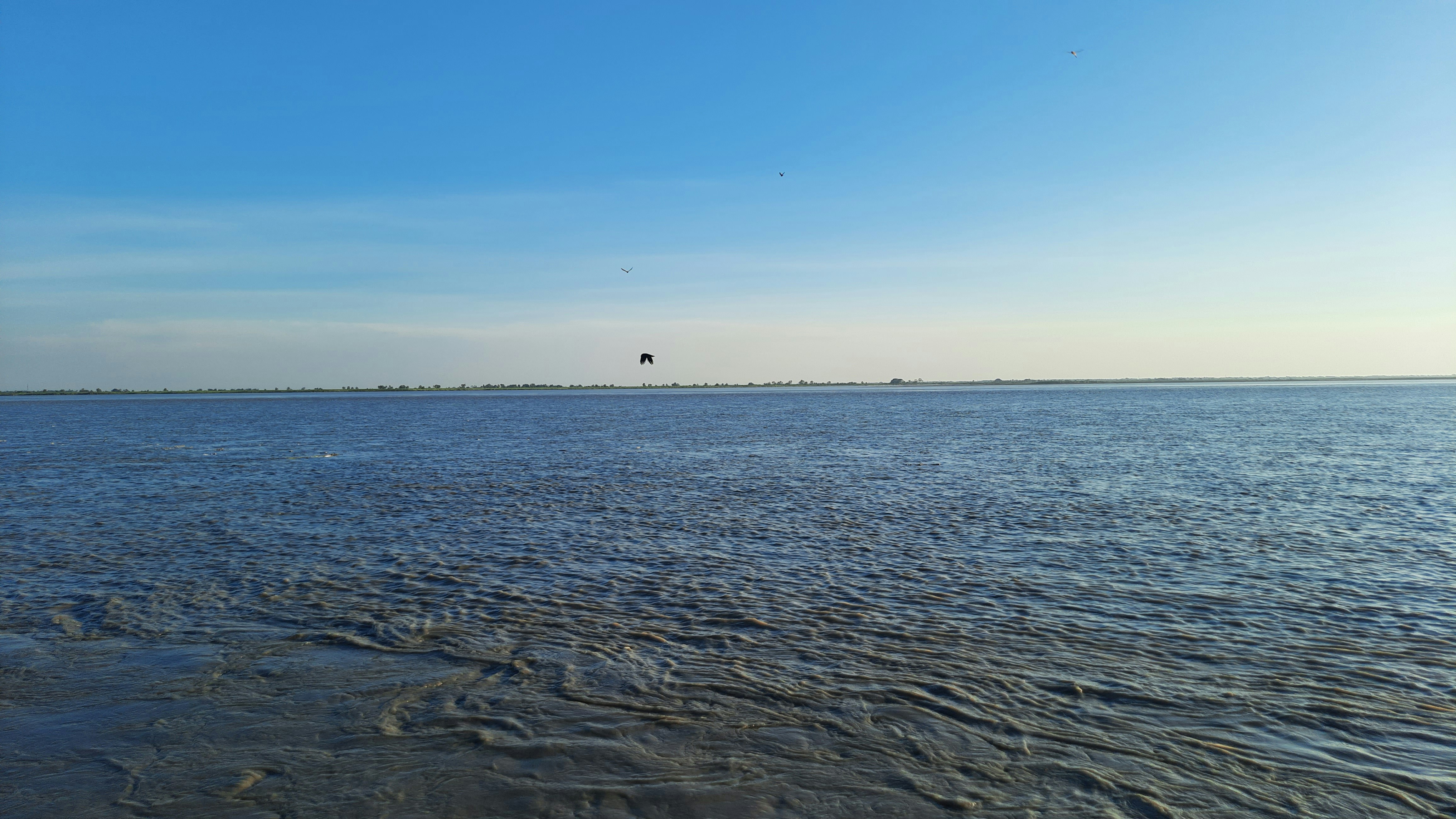 Photo by saurabhkumar4525