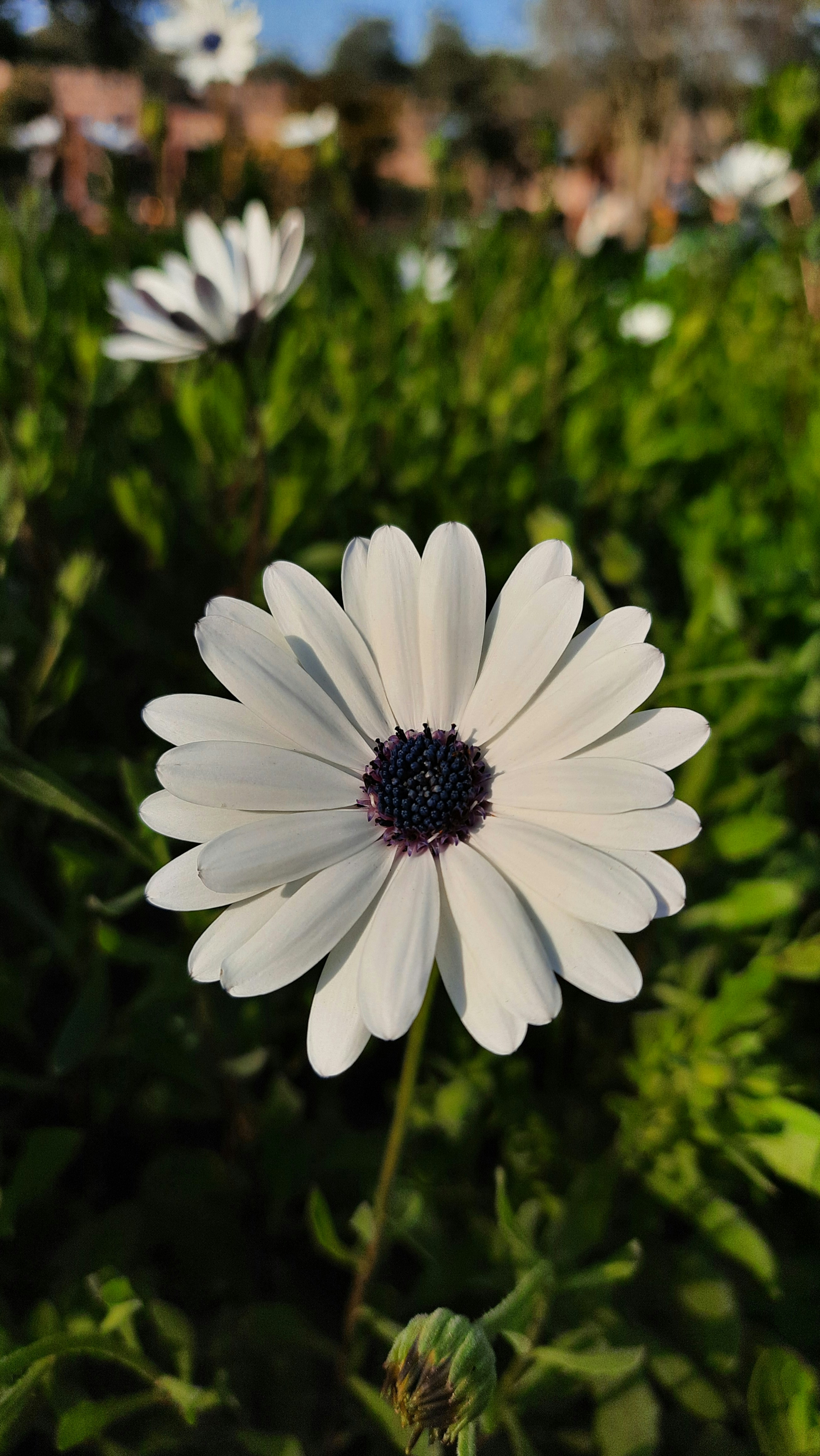 Photo by saurabhkumar4525