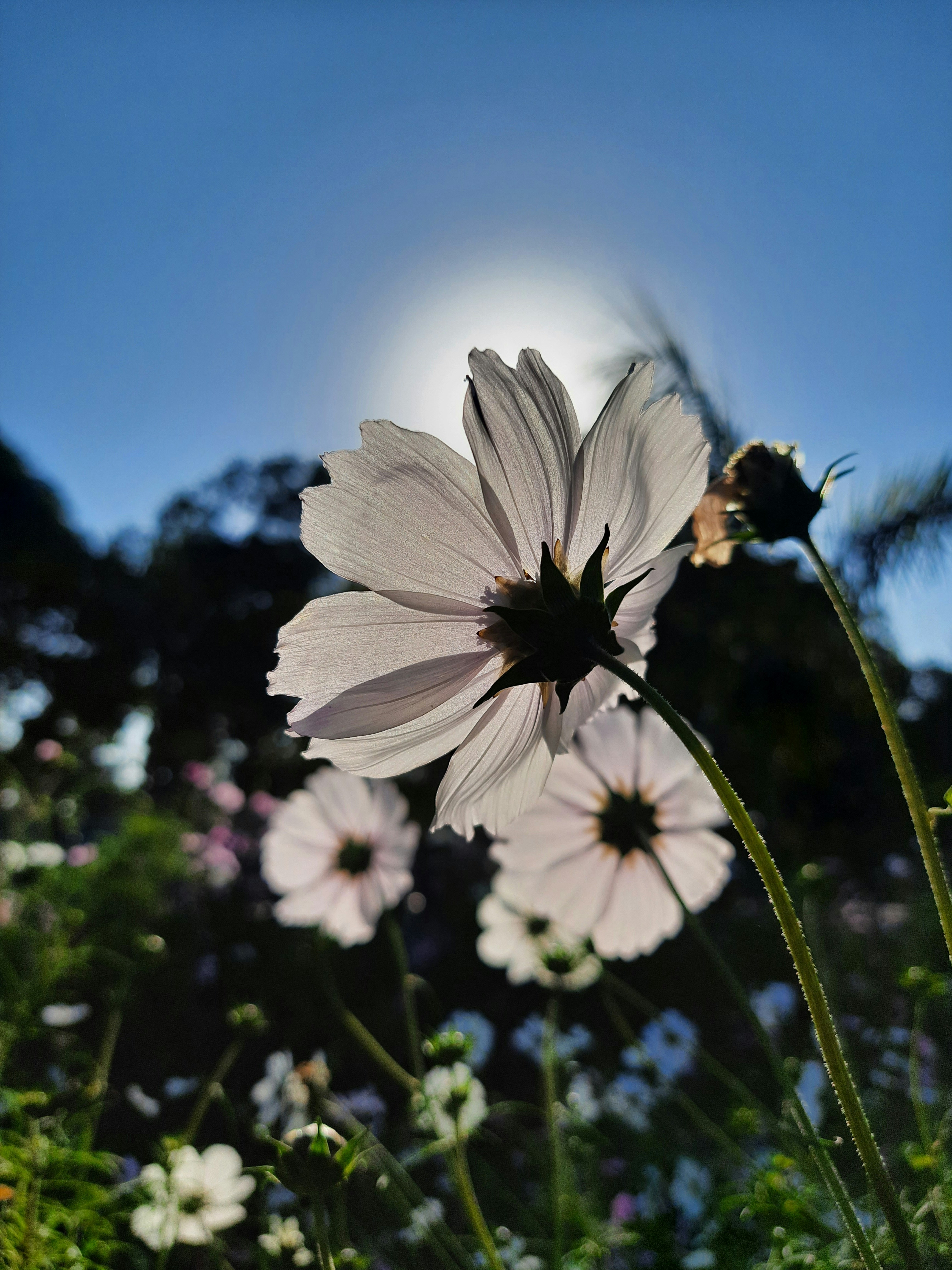 Photo by saurabhkumar4525