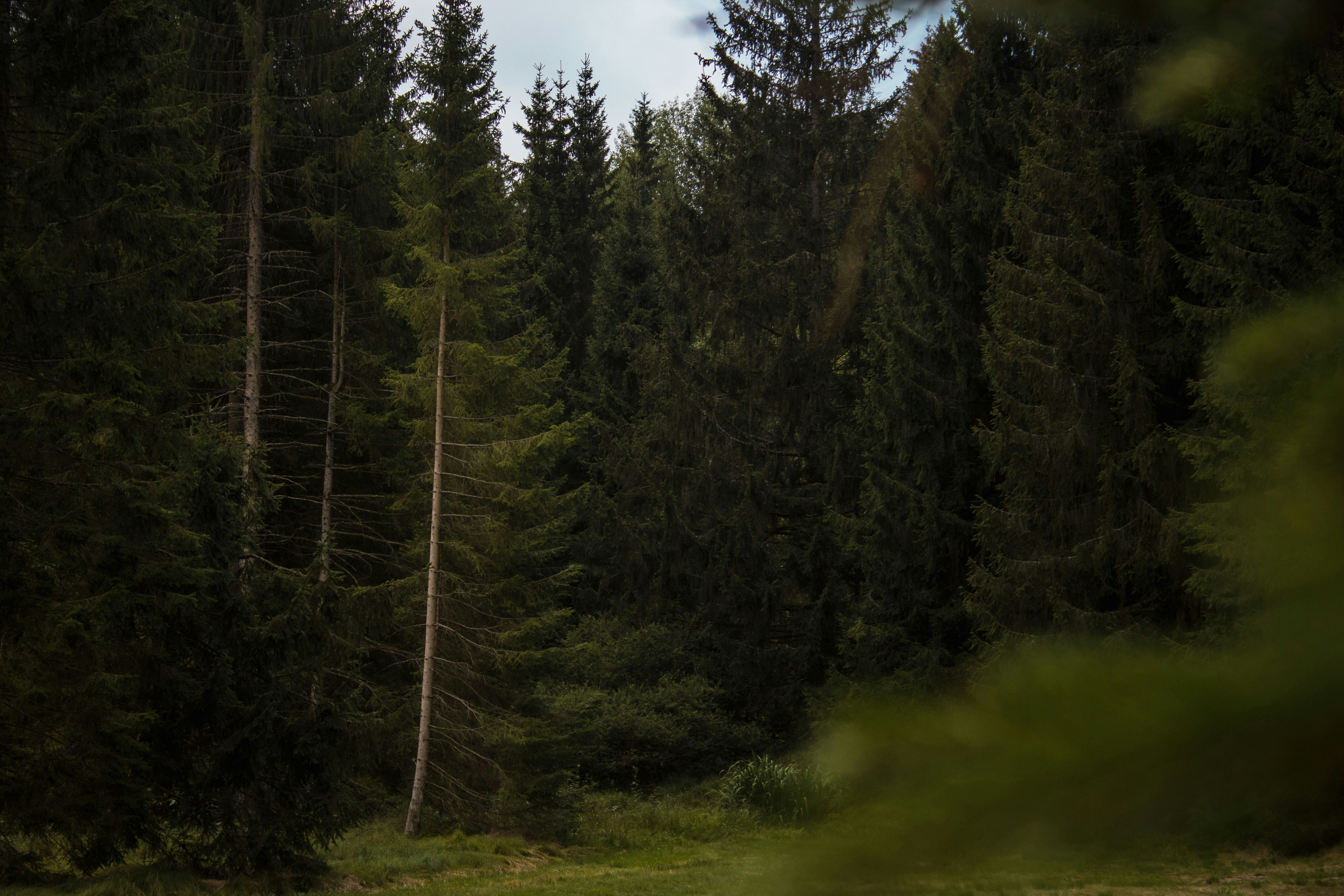 Photo by silaslundquist