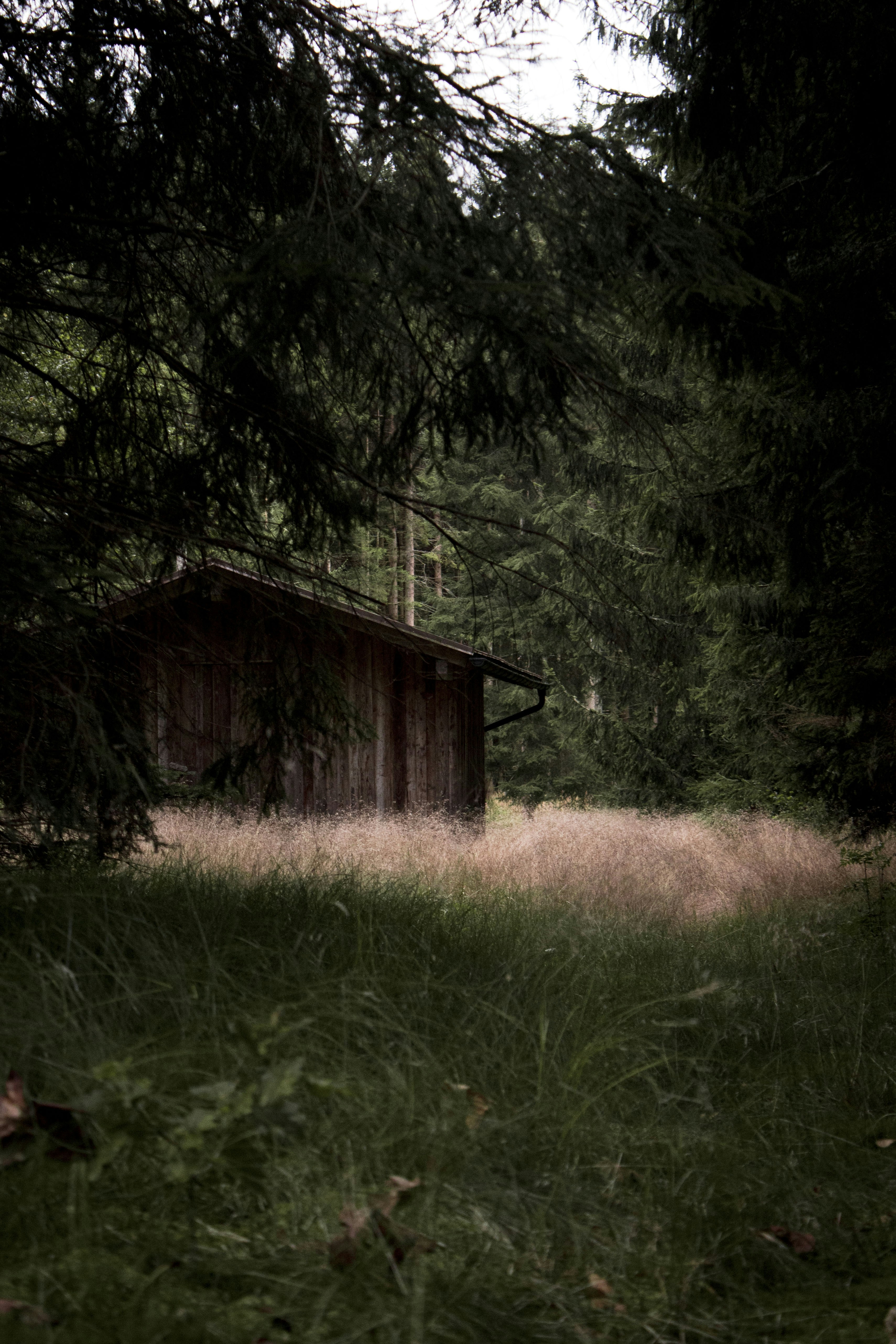 Photo by silaslundquist