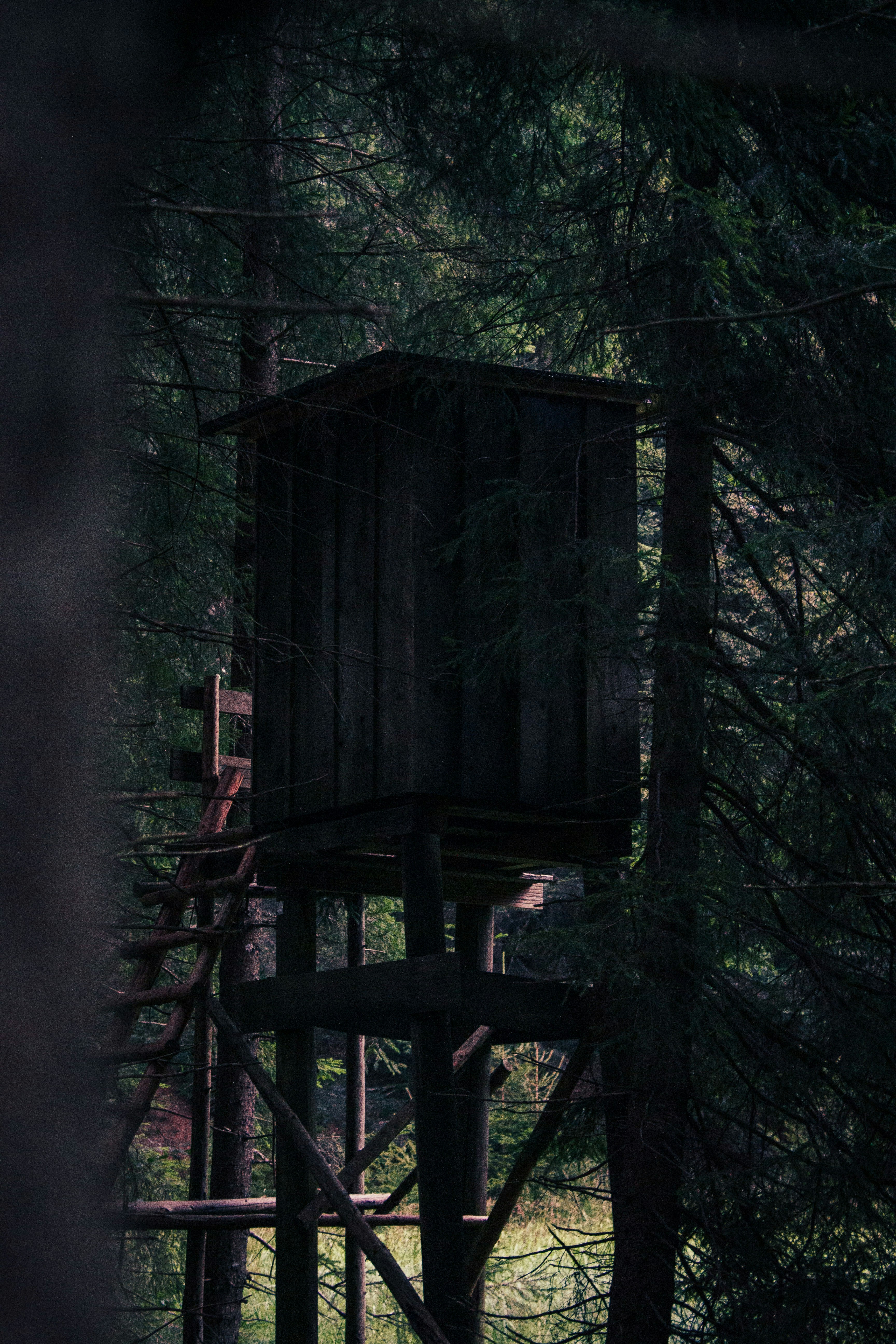 Photo by silaslundquist