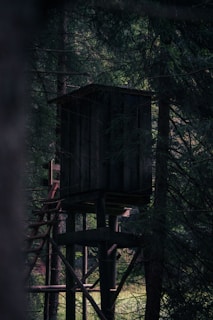 The Ultimate Guide to Choosing the Best Portable Hunting Blind for Maximum Concealment