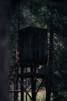 The Ultimate Guide to Choosing the Best Portable Hunting Blind for Maximum Concealment