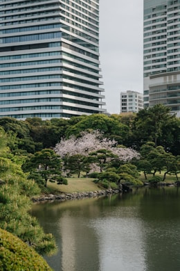 A body of water surrounded by tall buildings