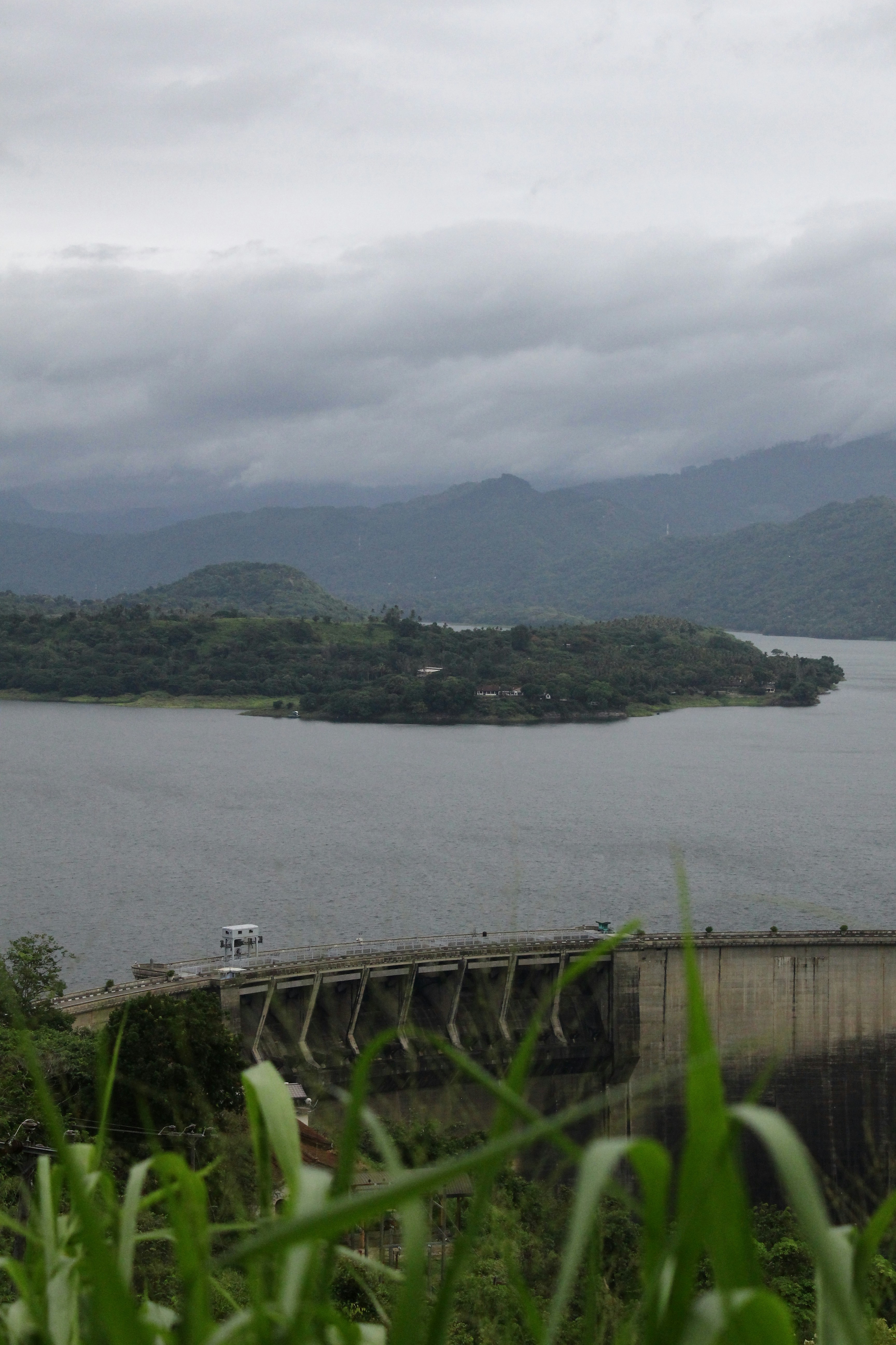 Photo by jules_unsplash