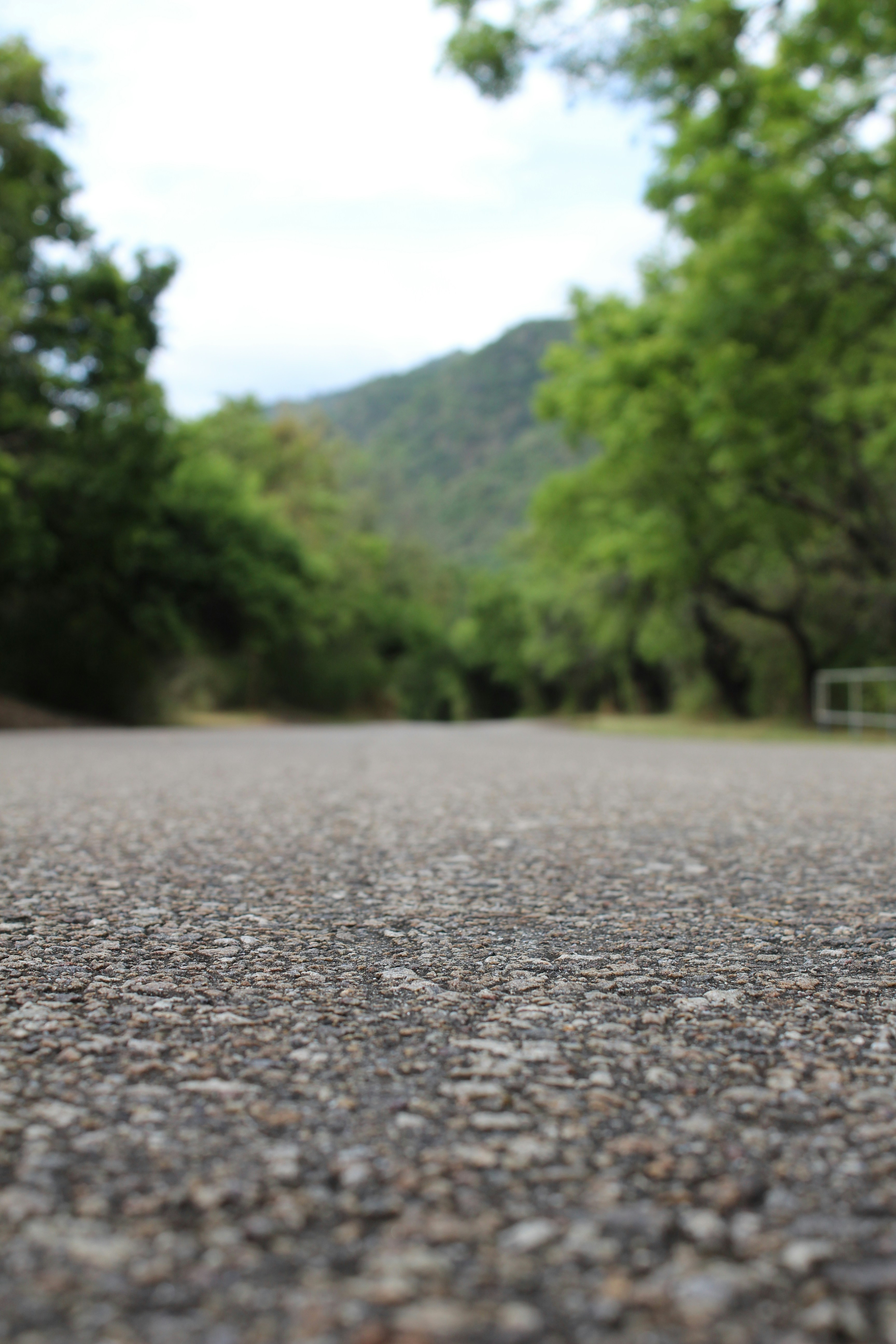 Photo by jules_unsplash