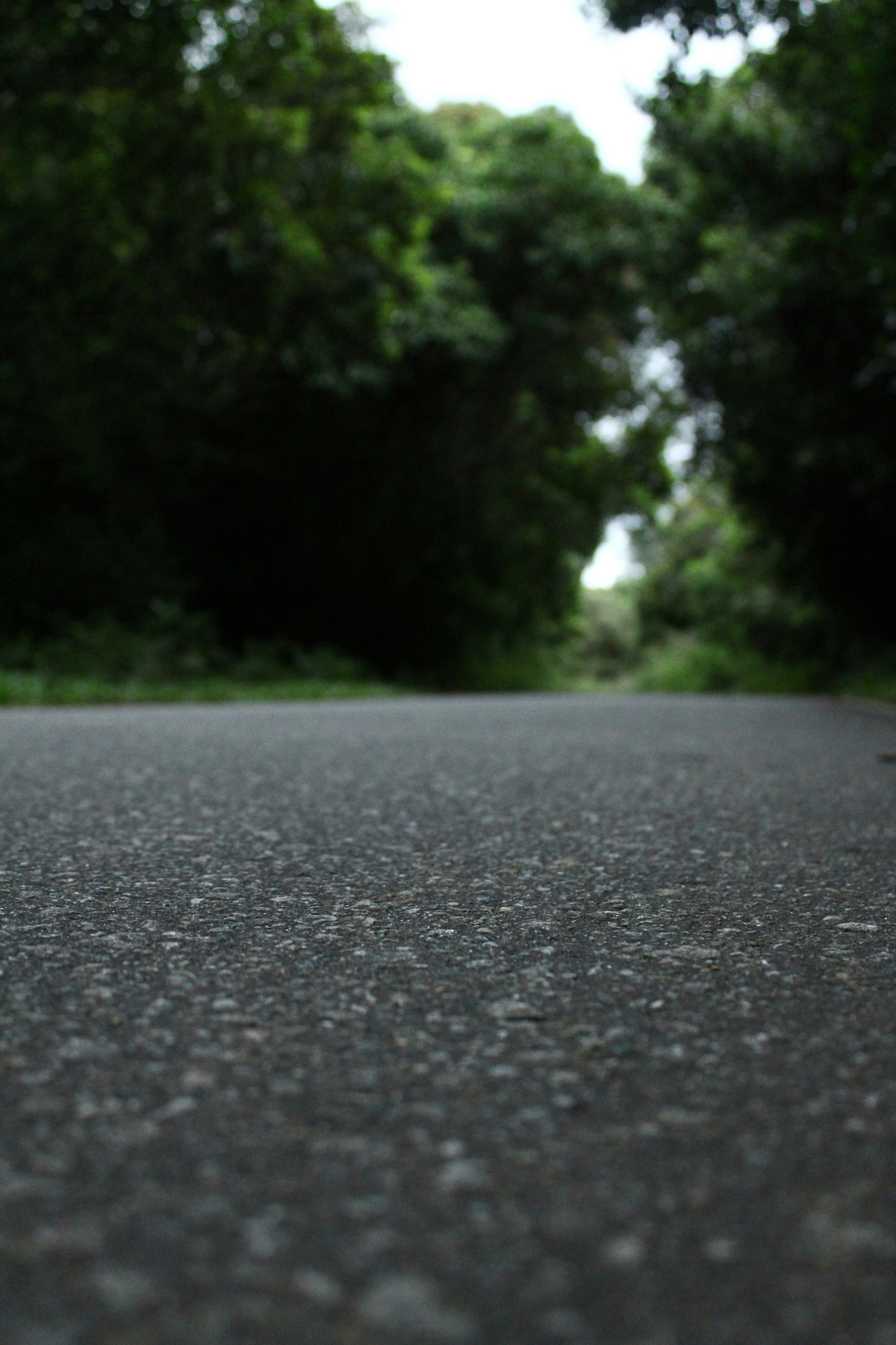 Photo by jules_unsplash