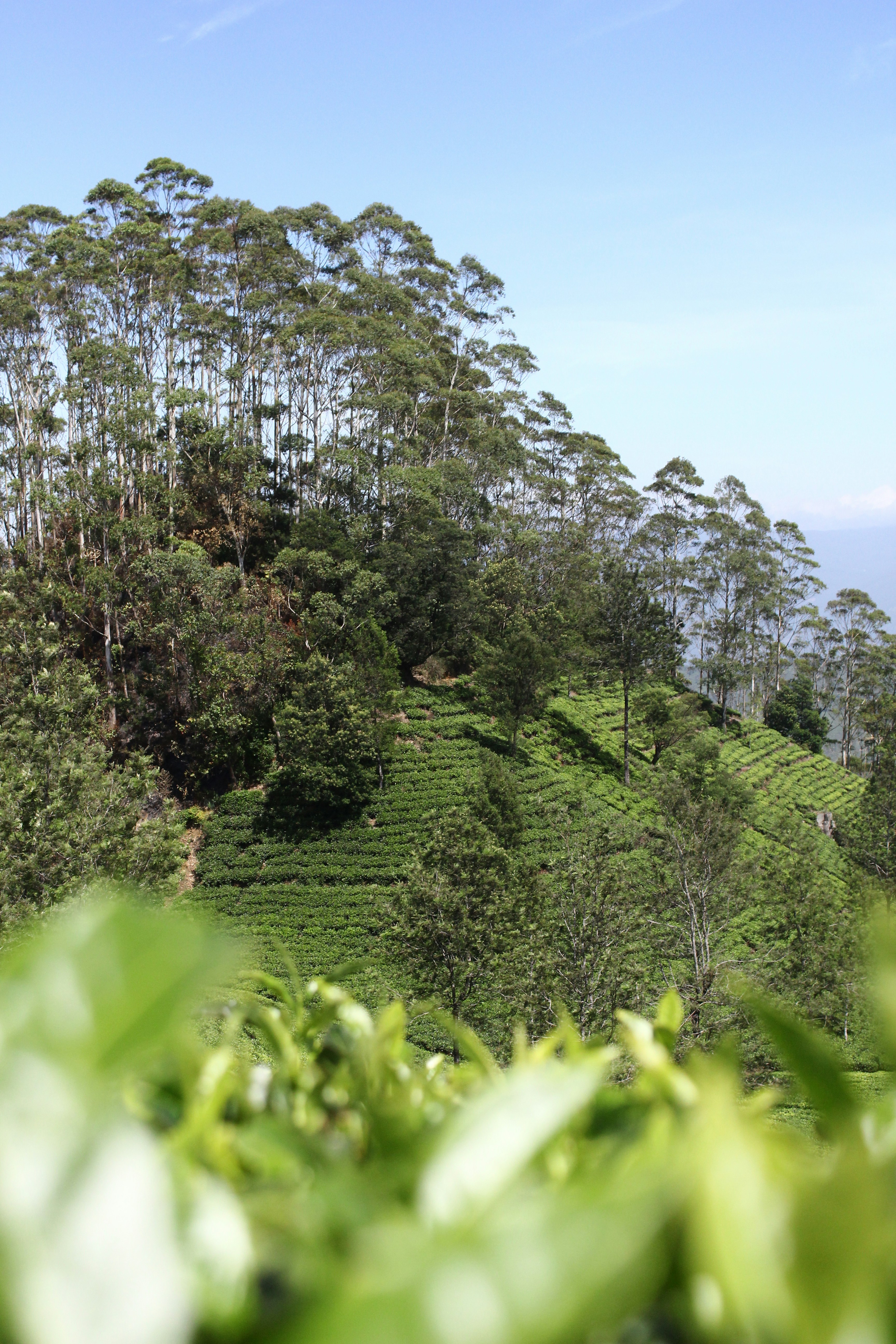 Photo by jules_unsplash