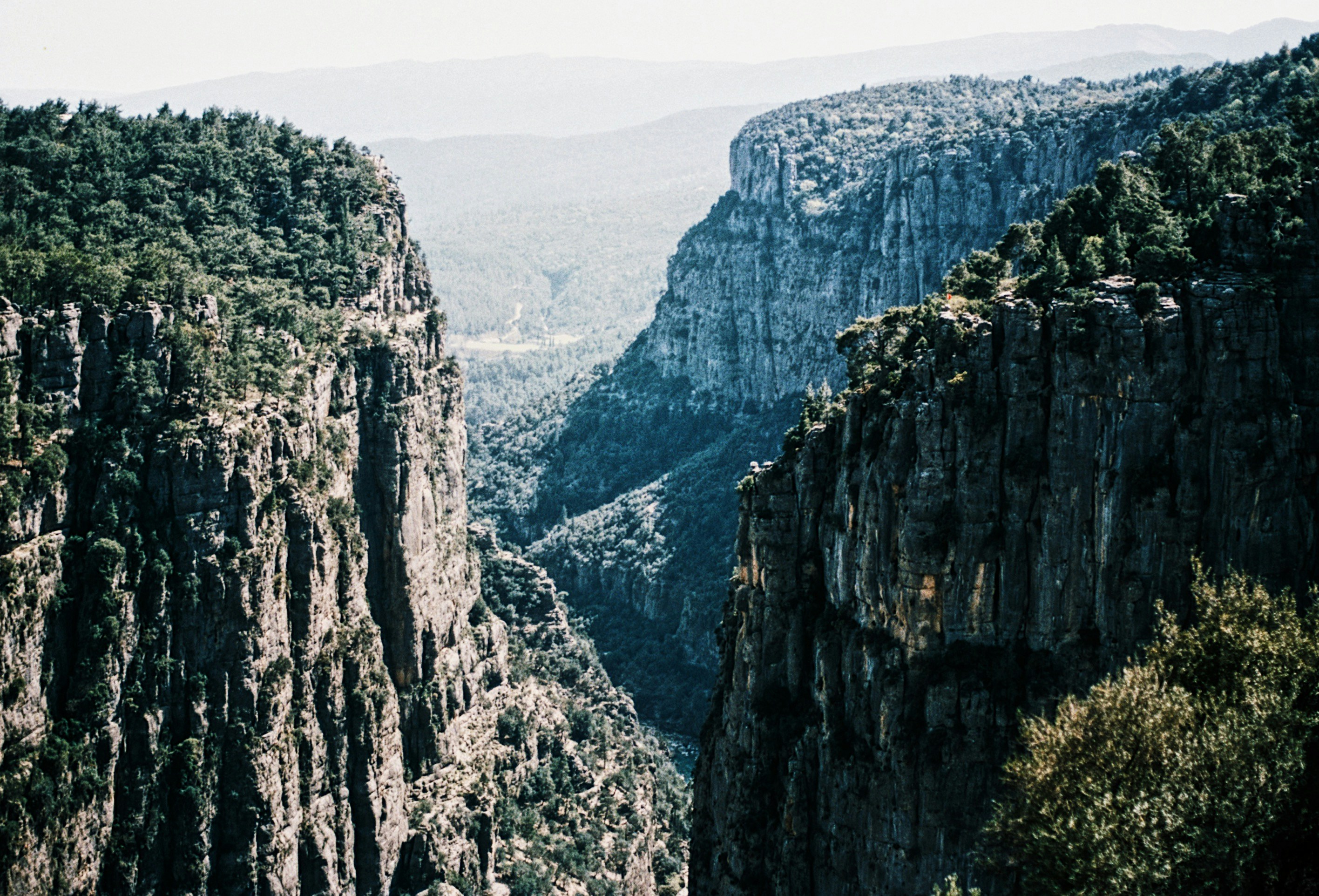 Photo by yzhuravleva