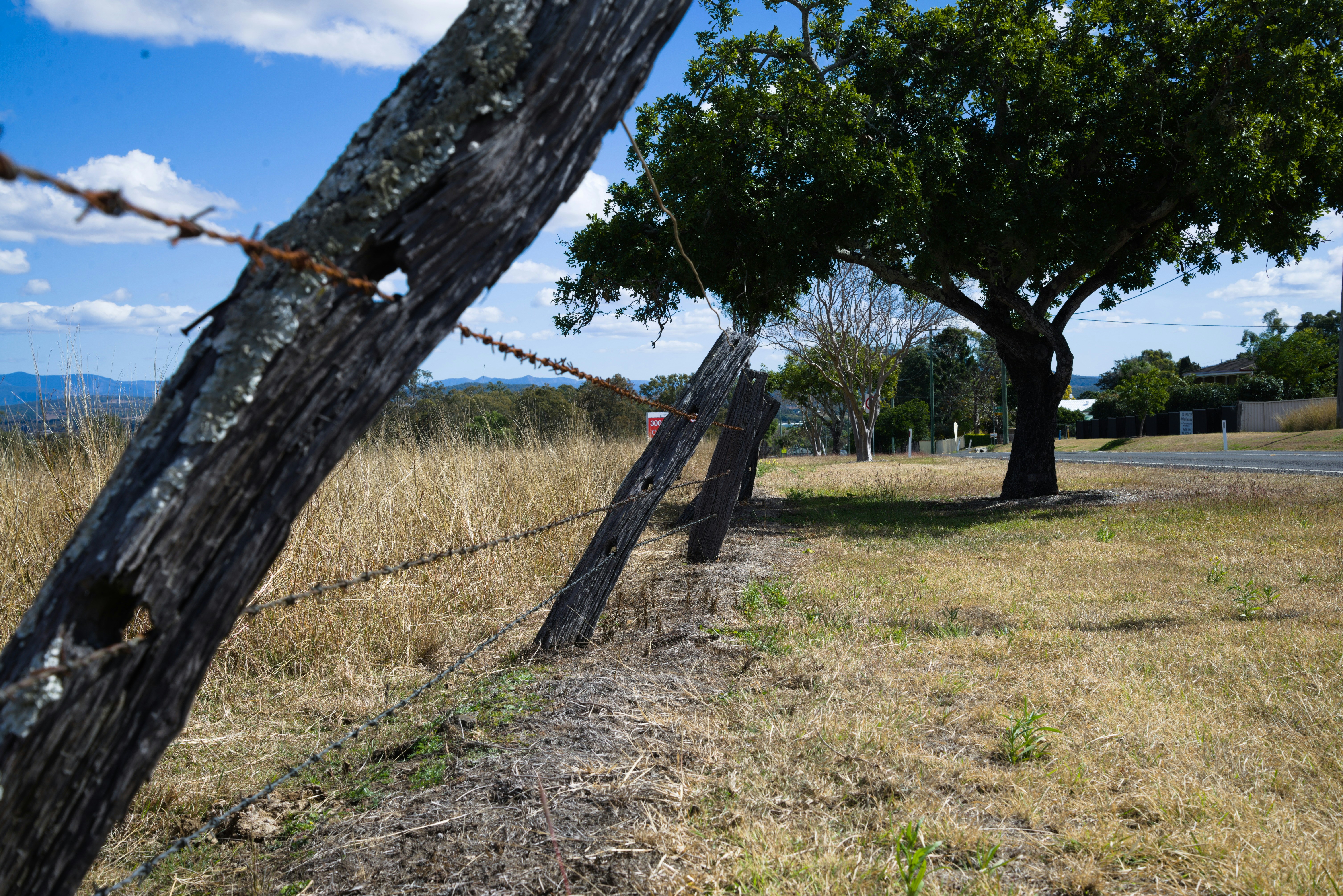 Uma cerca de arame farpado com uma árvore ao fundo