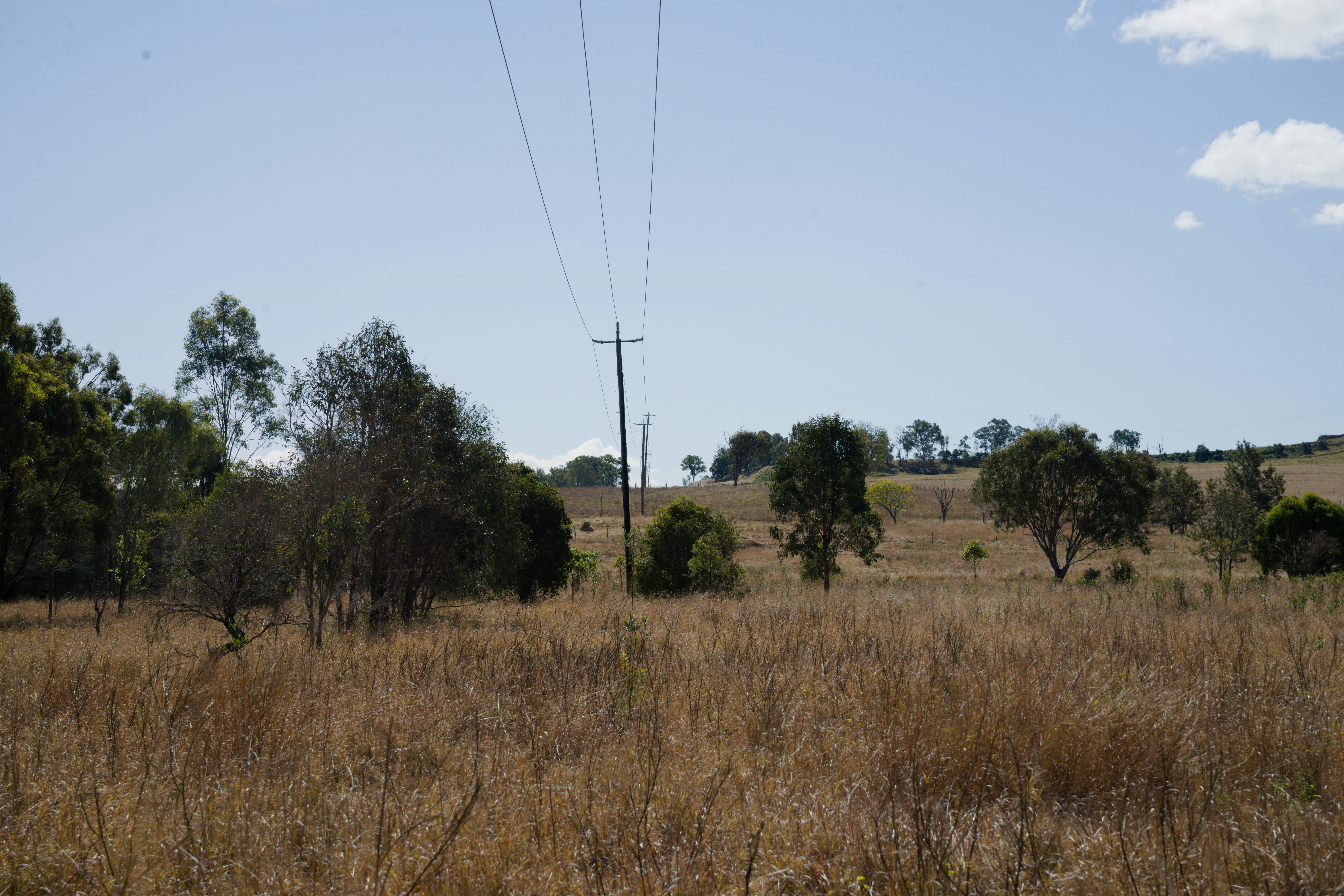 Um campo com um poste telefônico no meio