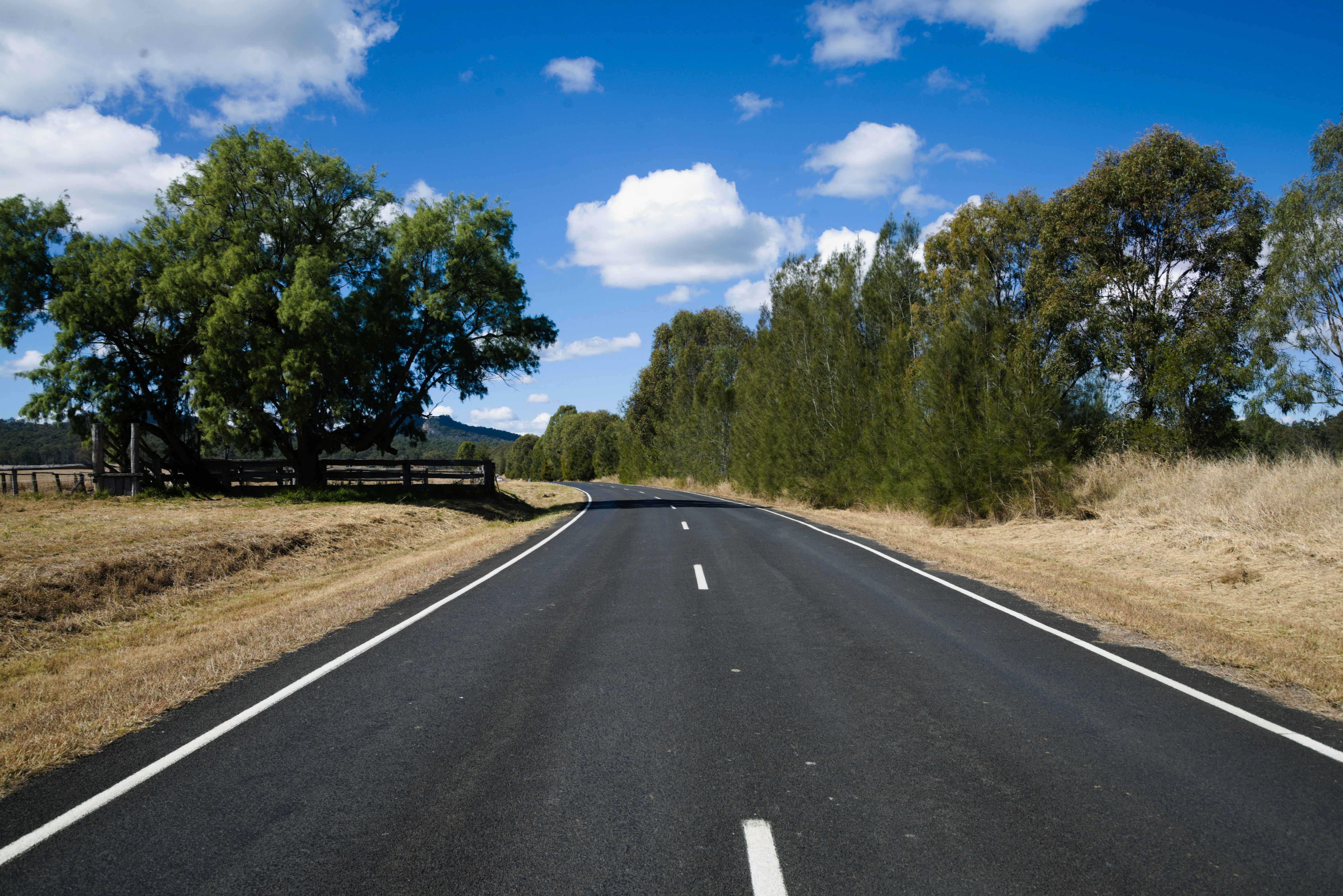 Uma estrada vazia com árvores e uma cerca ao fundo
