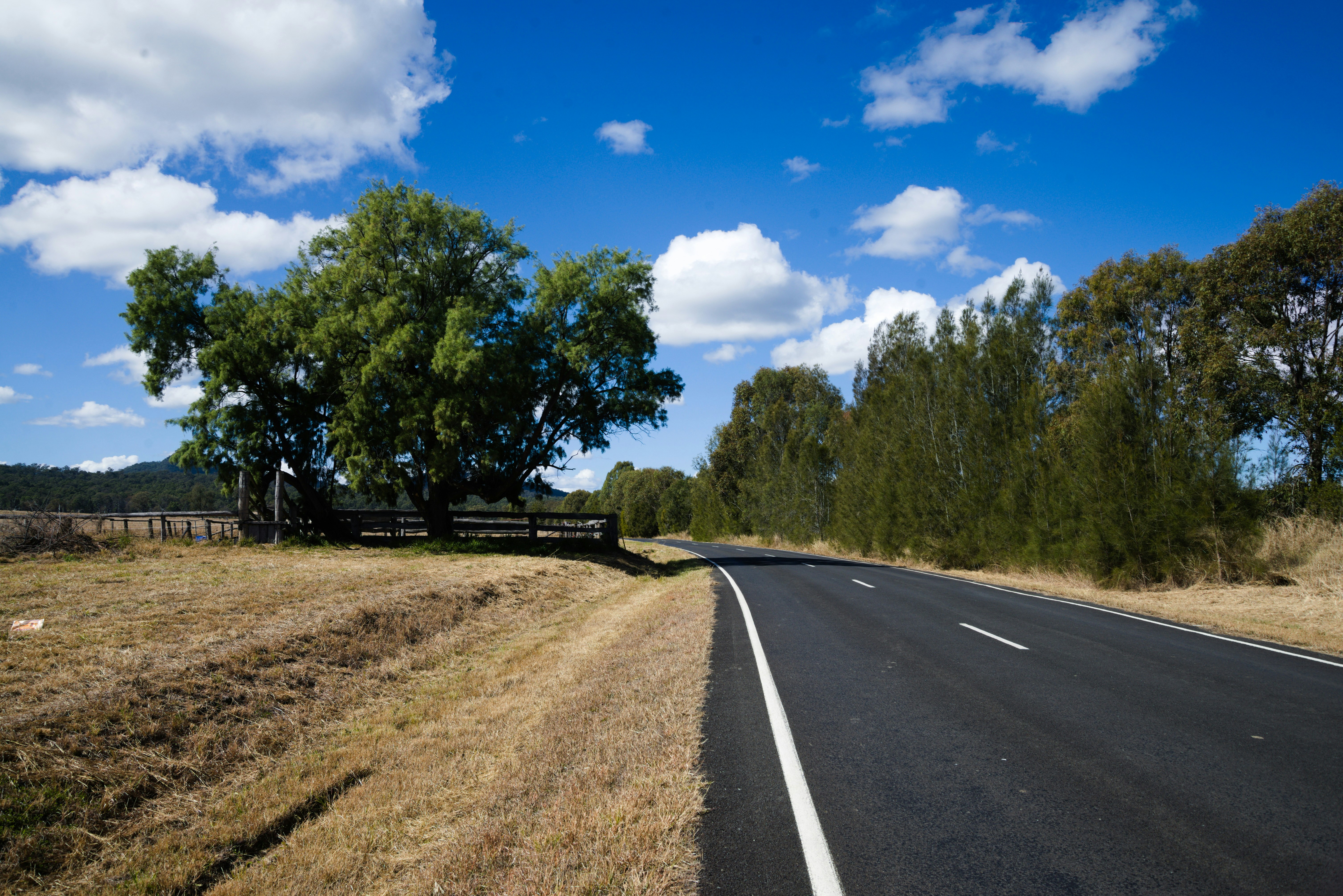 Uma estrada com uma cerca e árvores ao lado dela