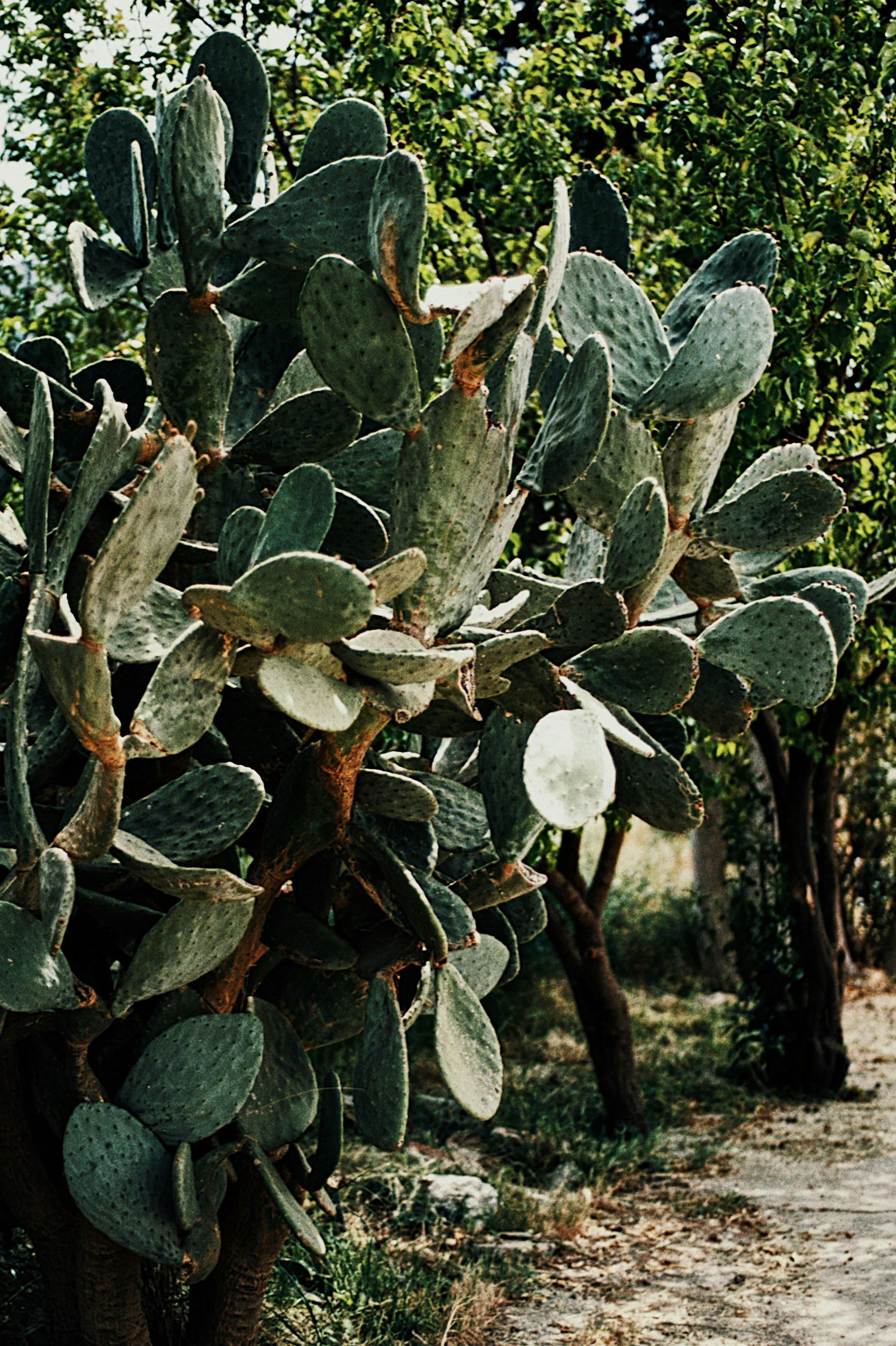 Photo by yzhuravleva